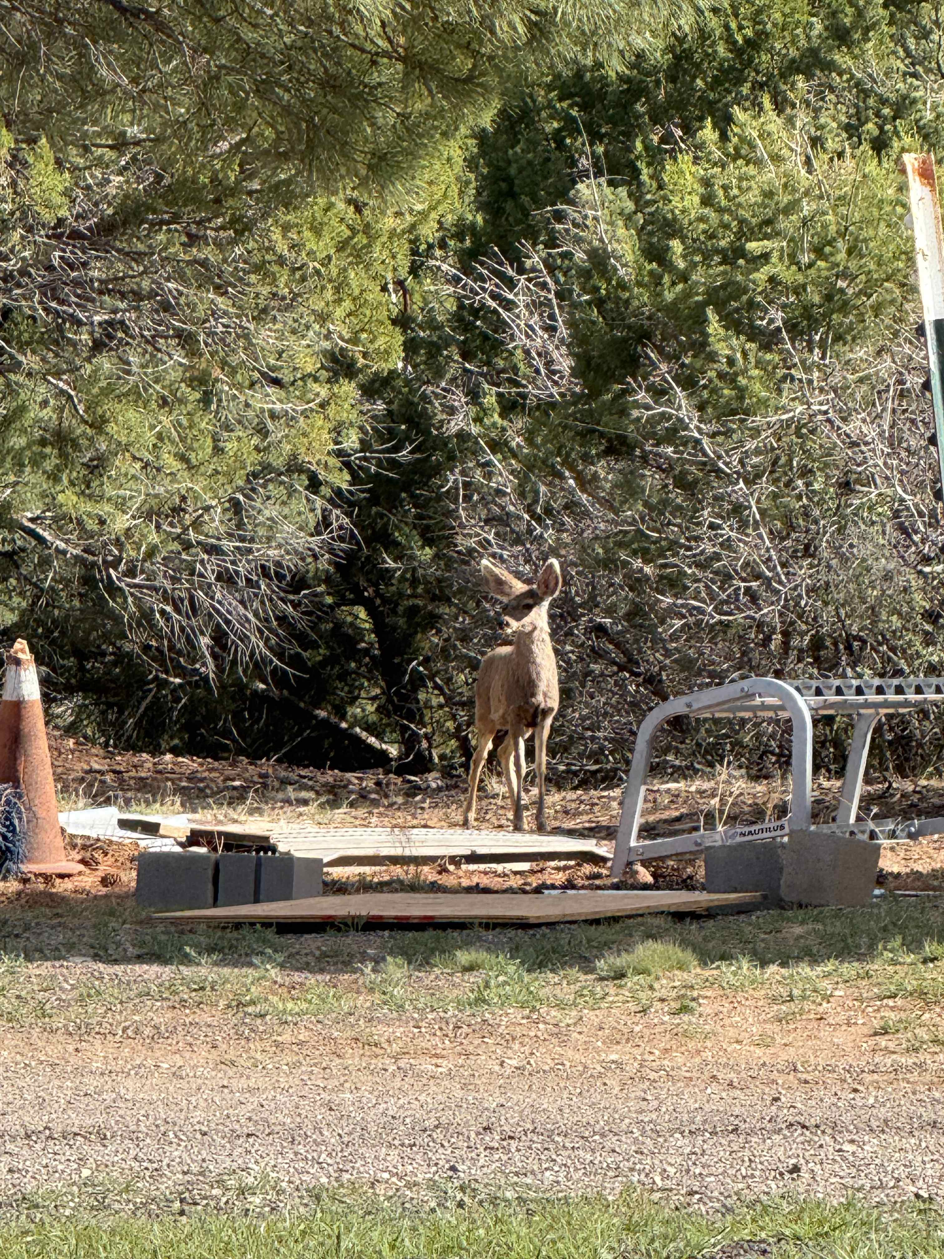 Manzano Mountain Retreat
