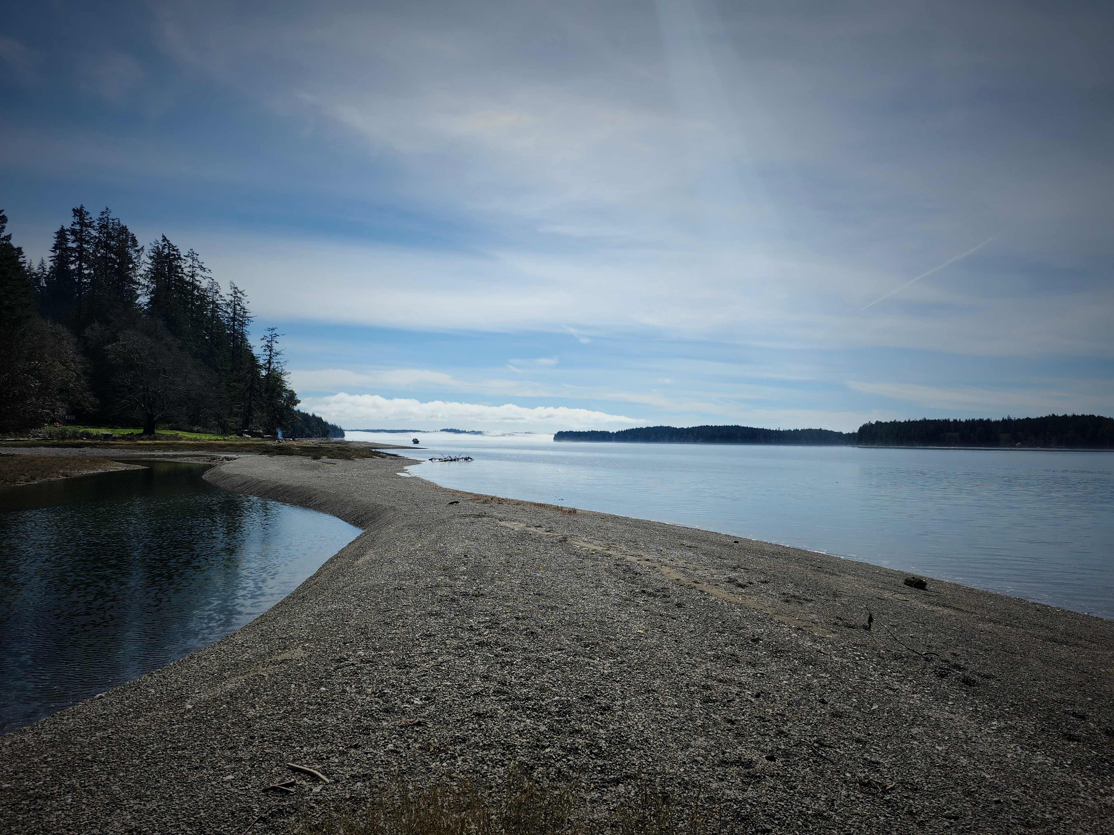 Woodland Grove on the Coast