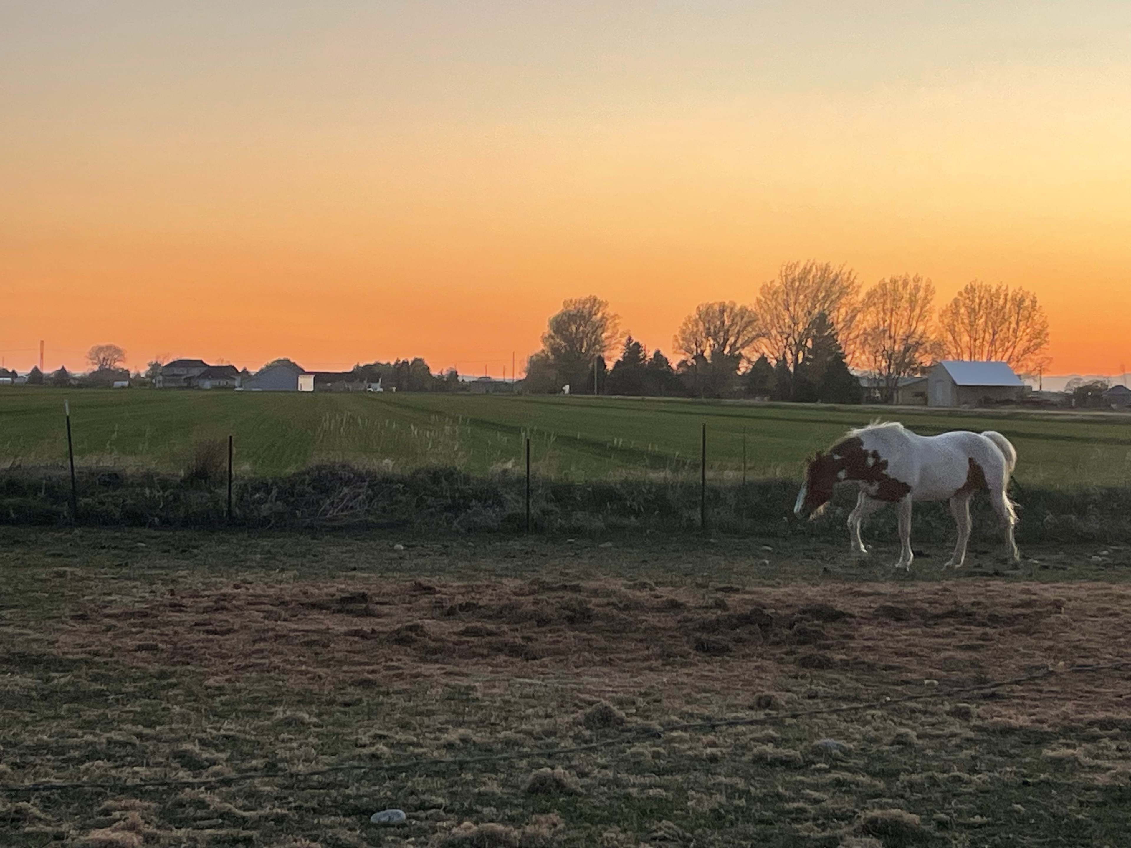 Hobby Farm With Perfect Sunsets