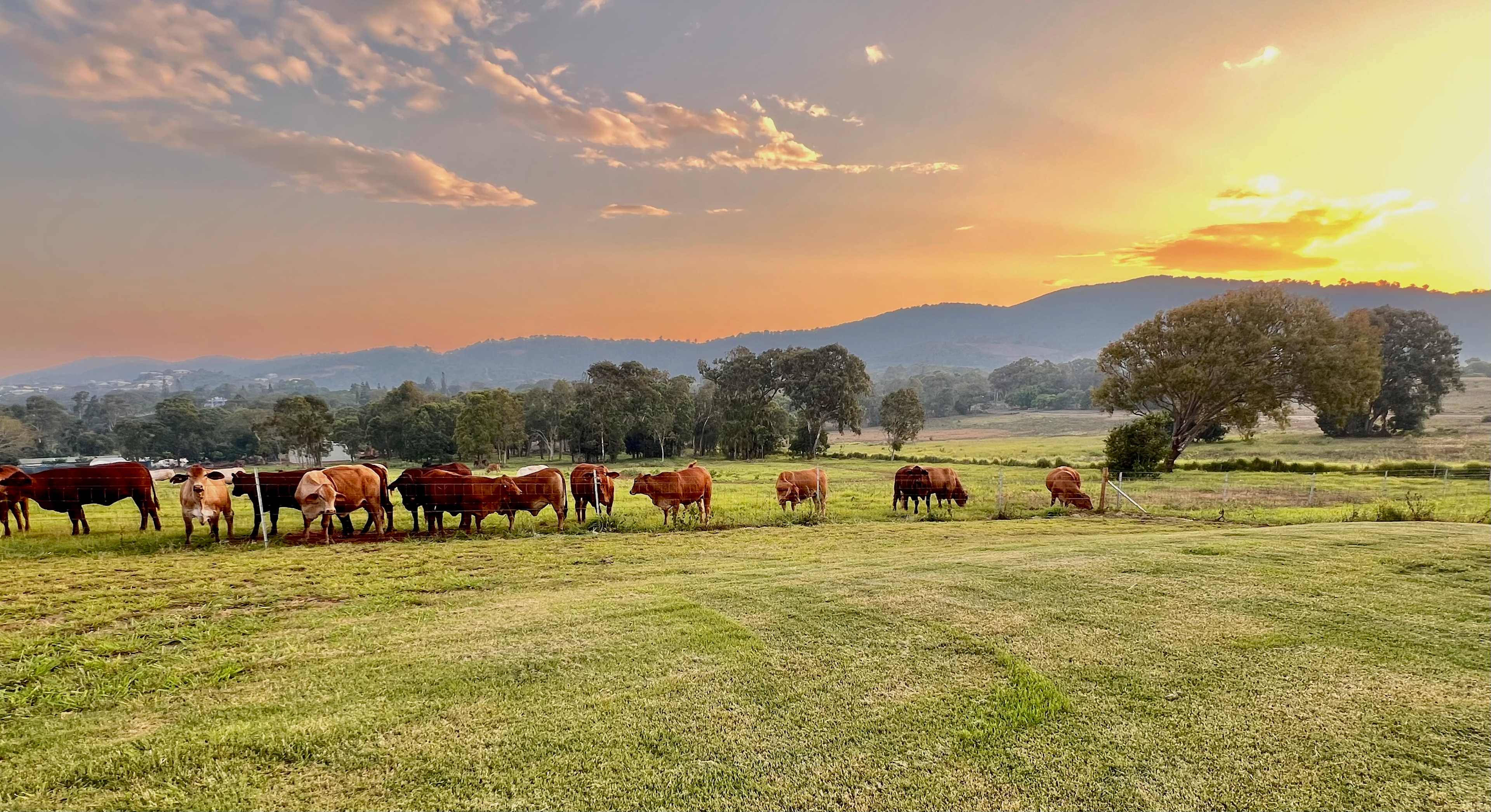 Yeppoon Farmstay