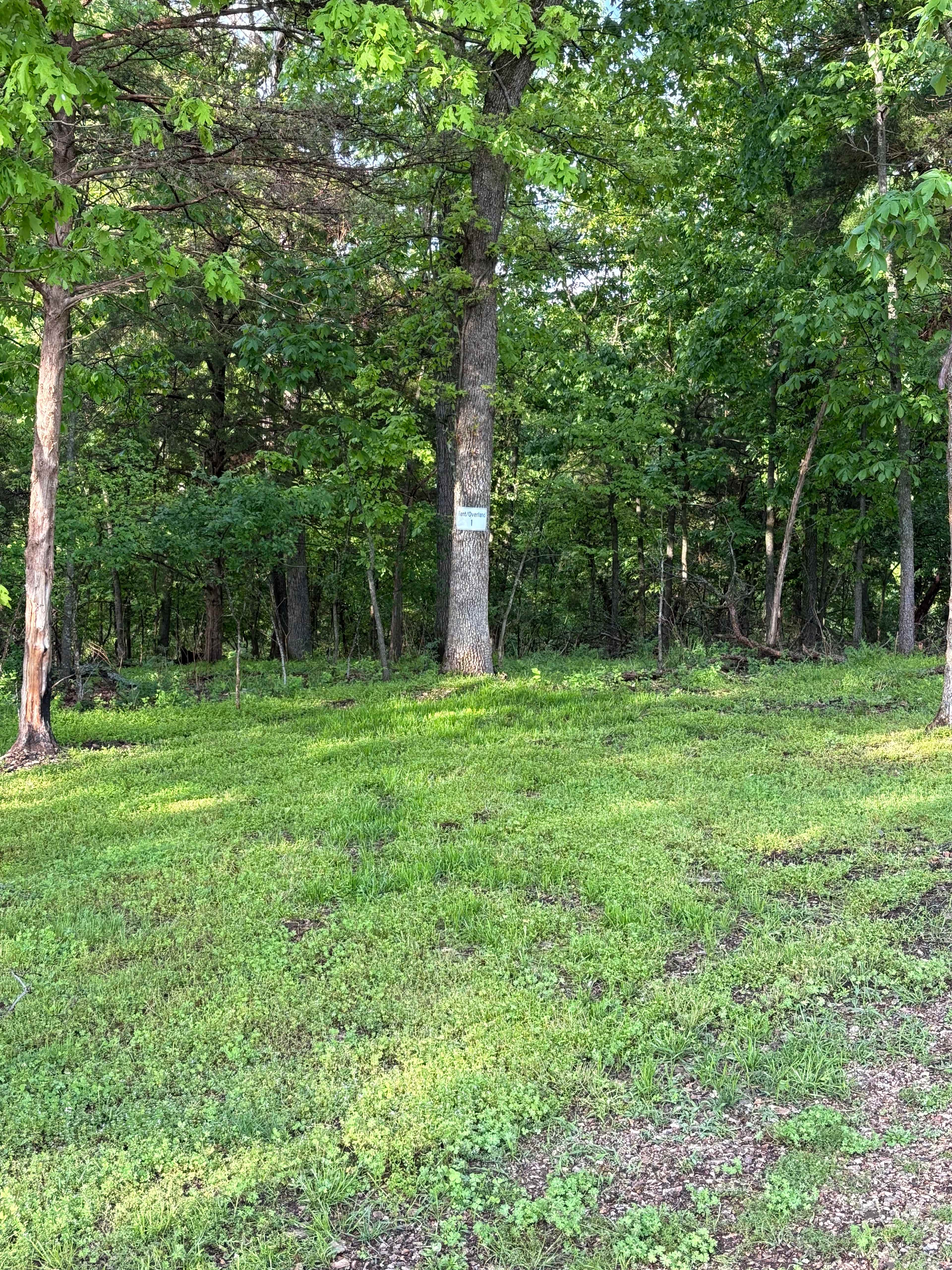 Look for the sign that has a 1 on it. 