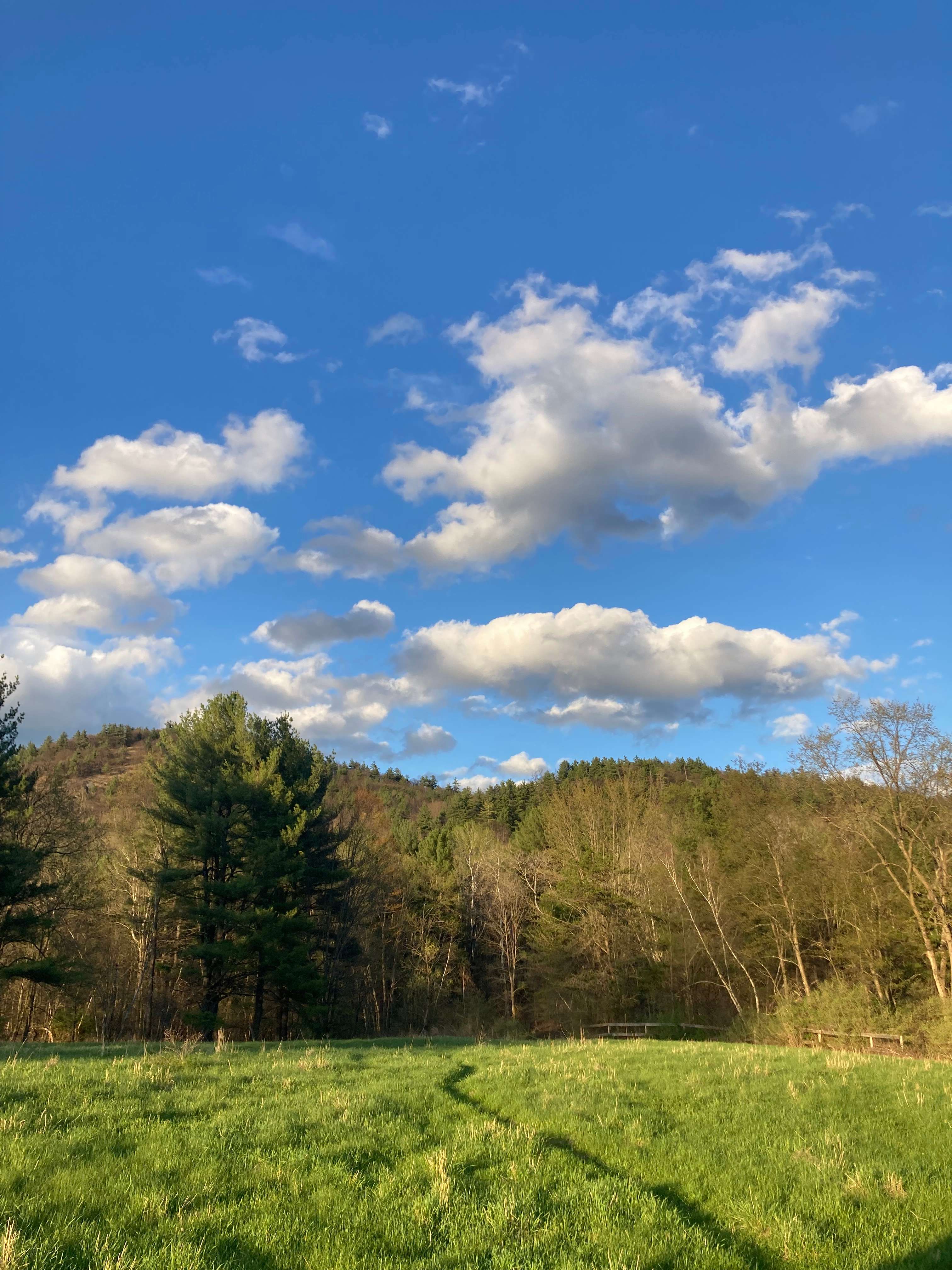 Willow Hill Farm and Mountains