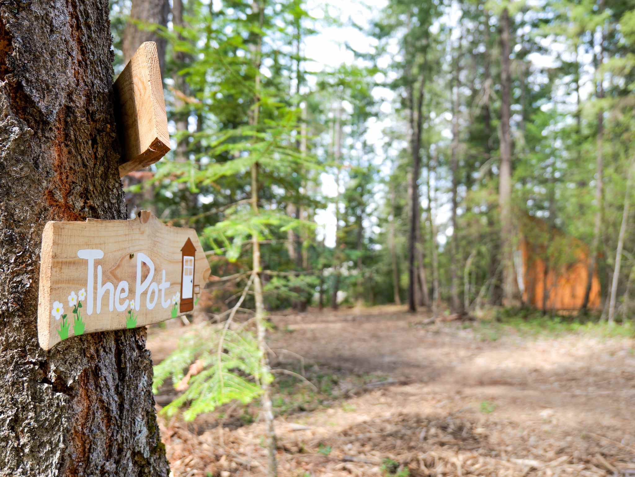Five Acre Woods