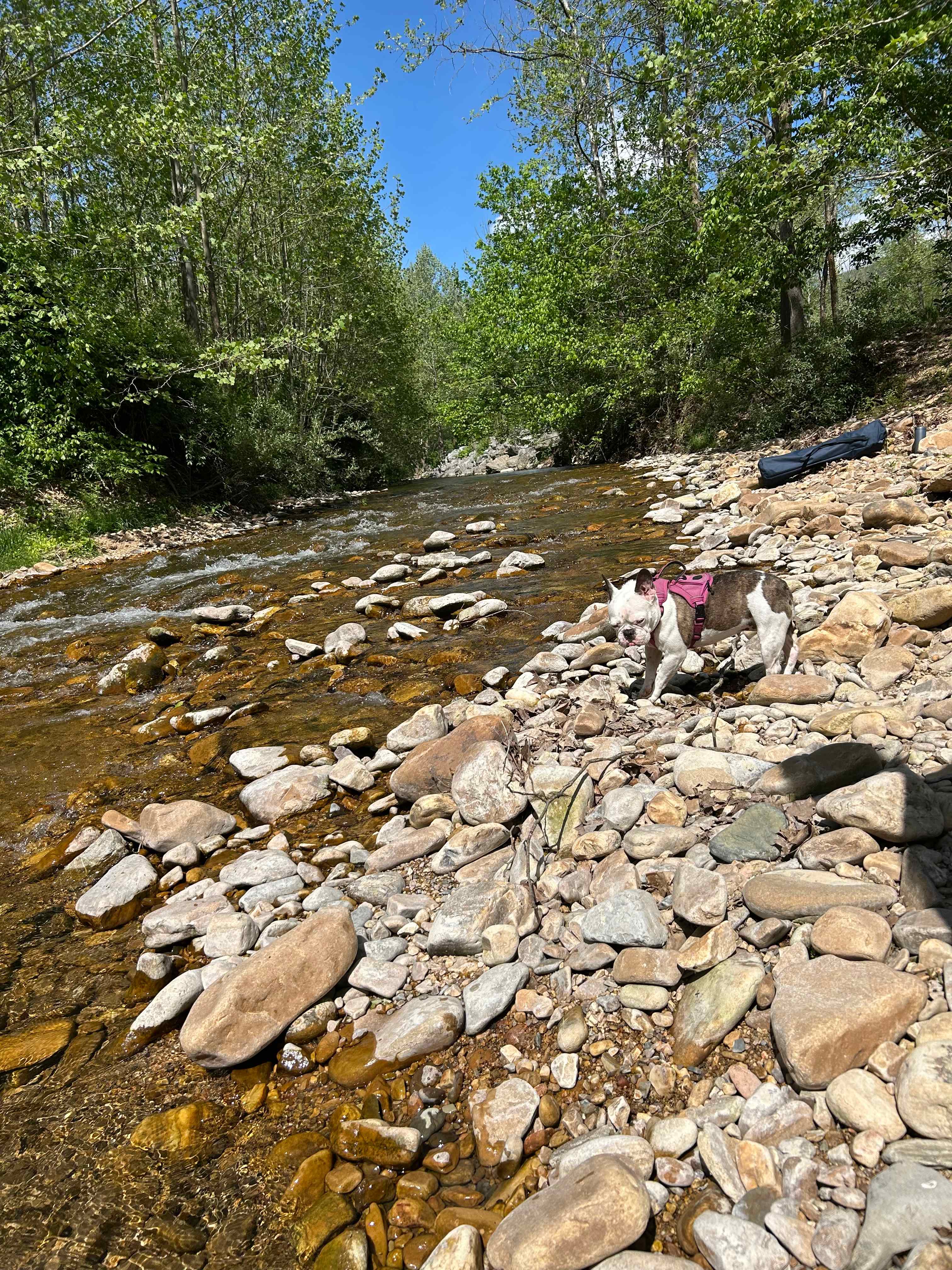 Swedish Lilac Campground & Events