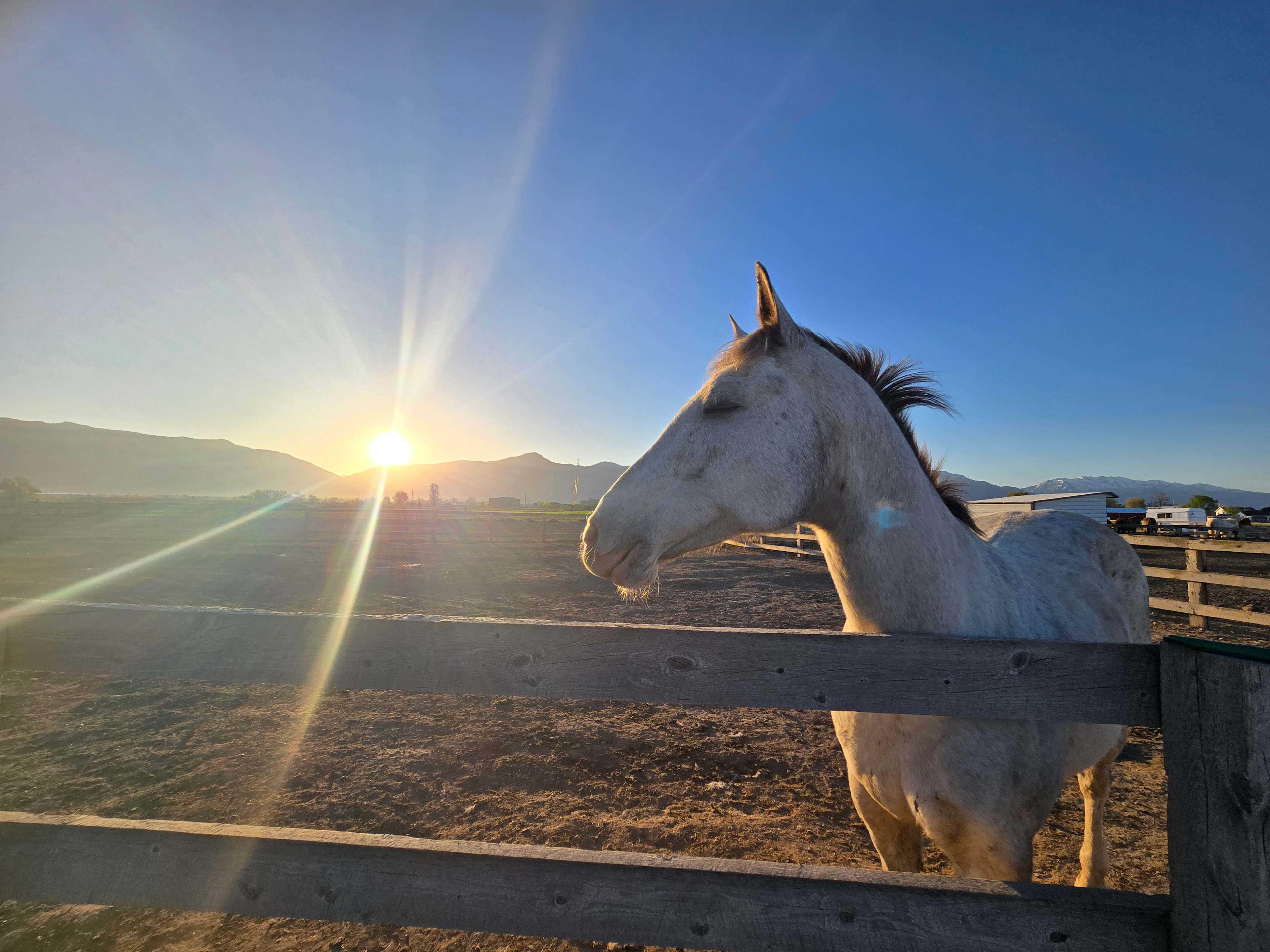 Wasatch View Ranch