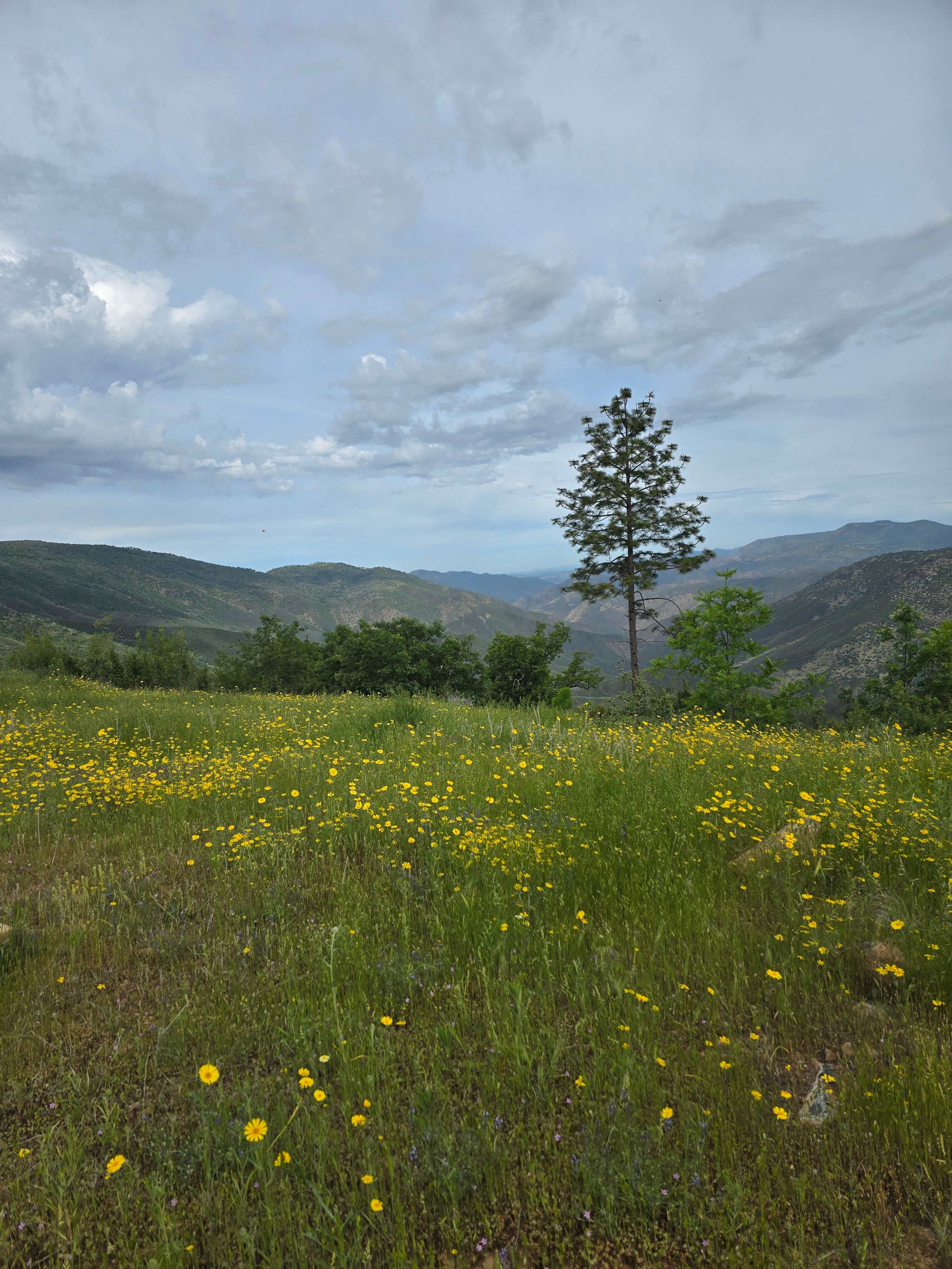 View from outside the door of the cabin