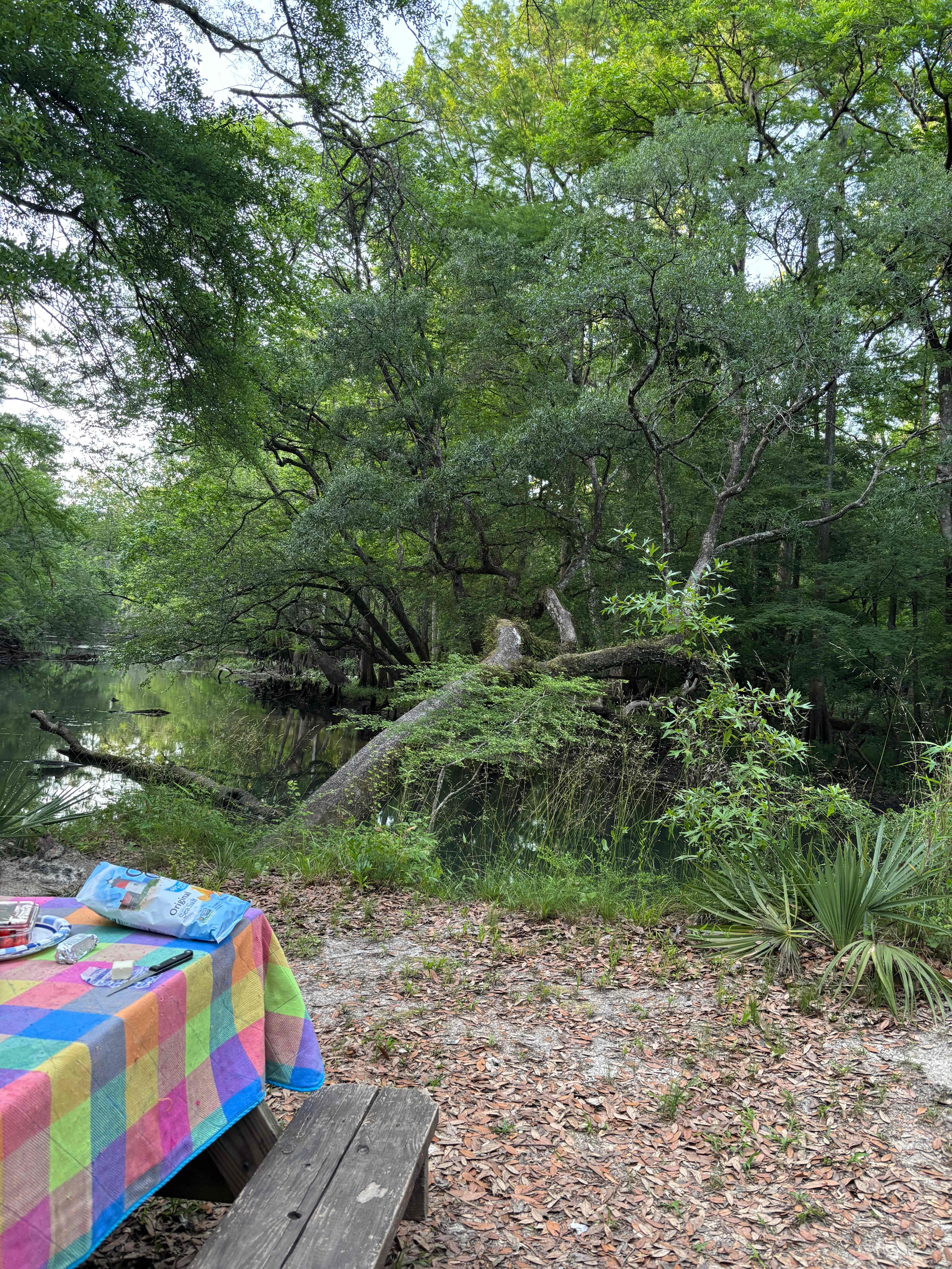 Stay And Play The Cypress