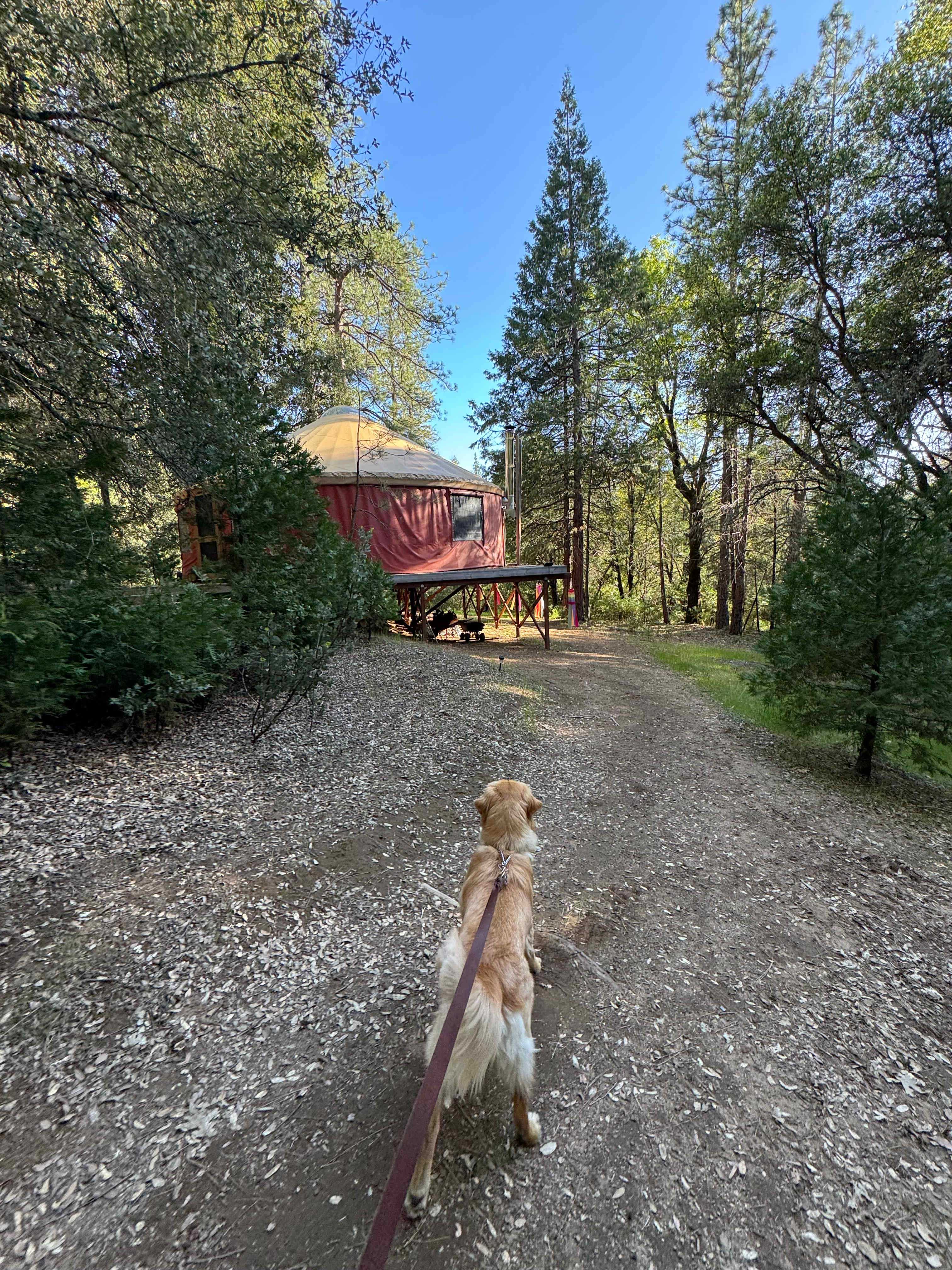 Tilted Hill Ranch