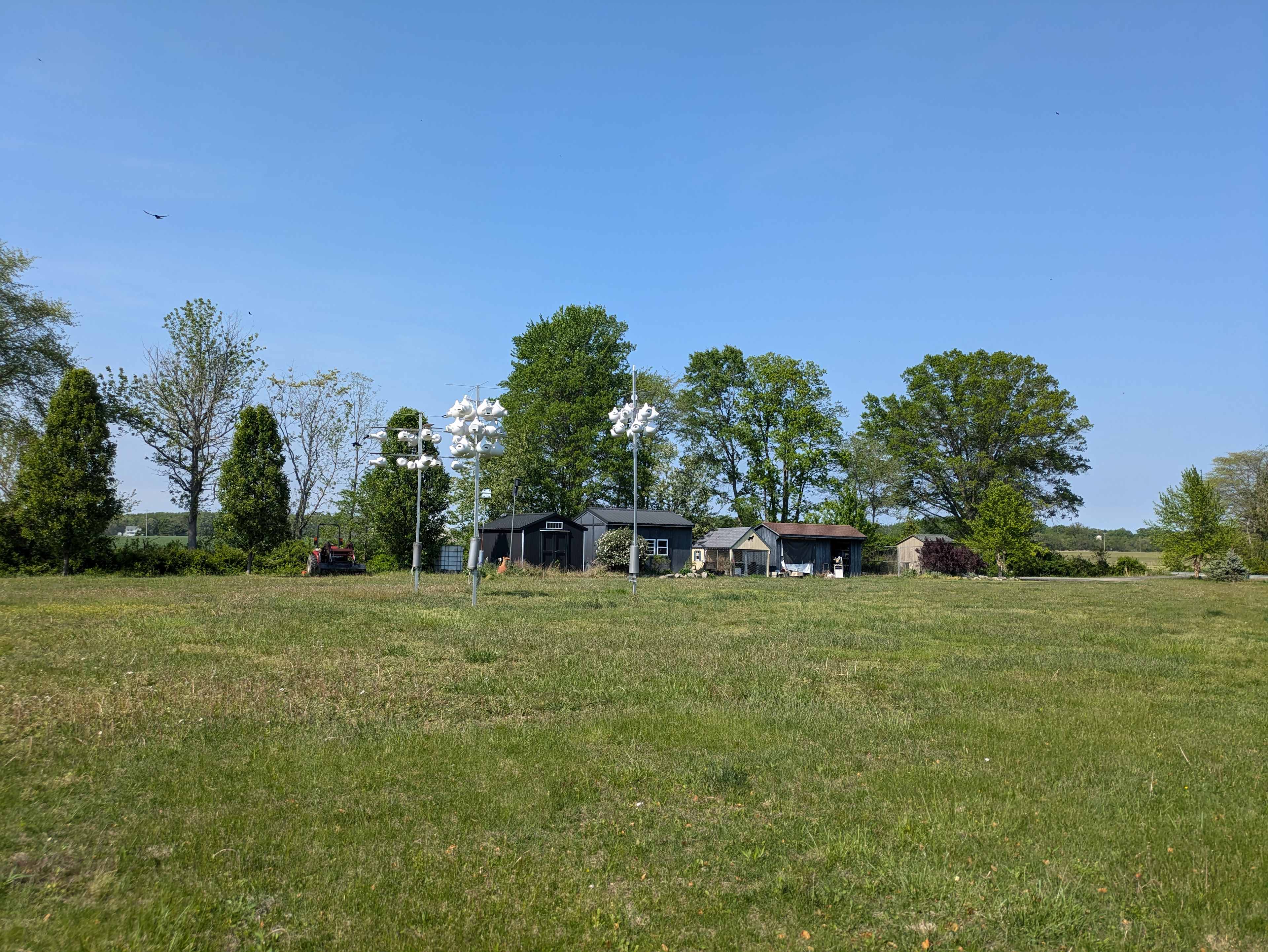 Felidae Farm