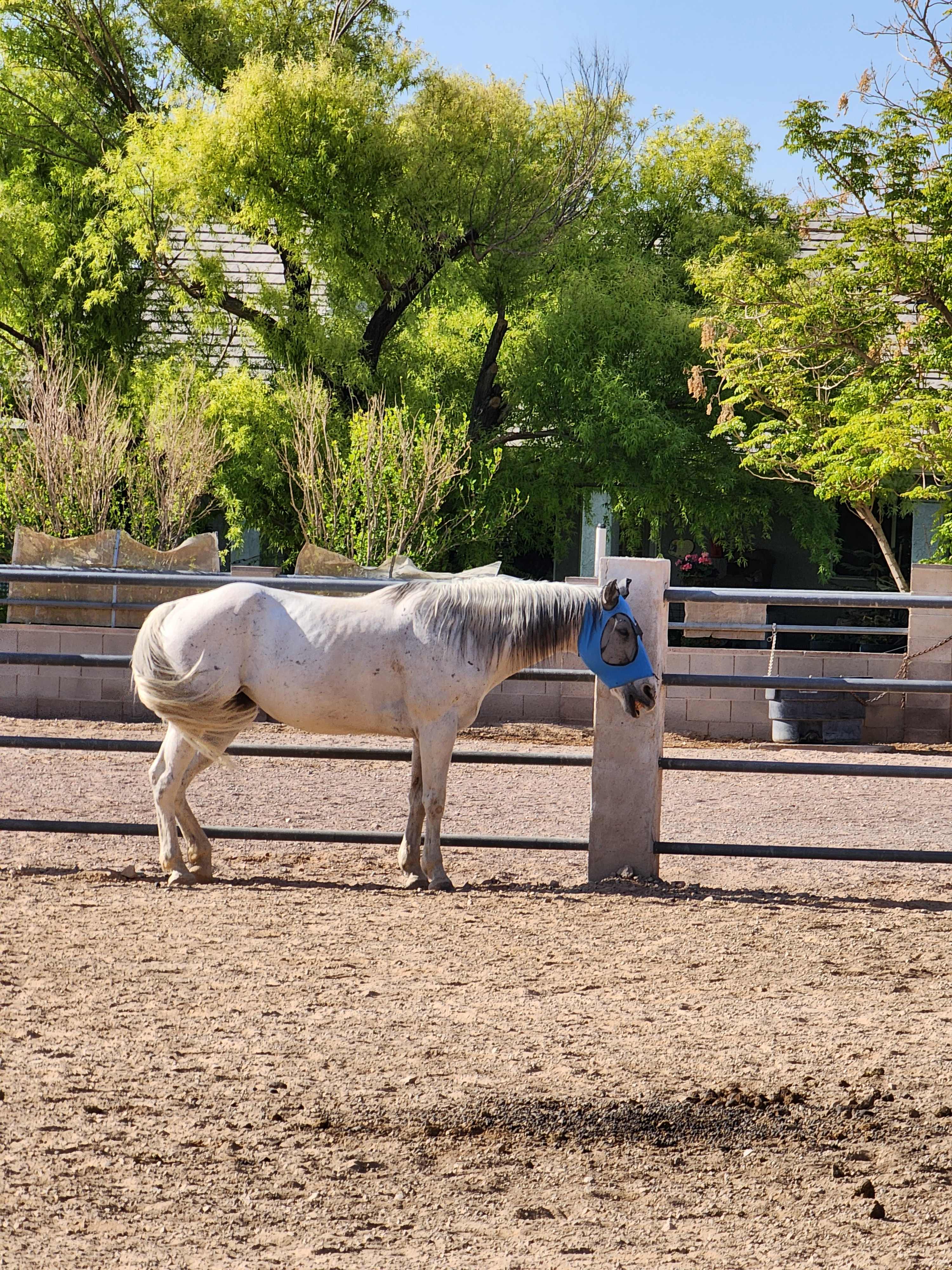 Jeffry’s Farm
