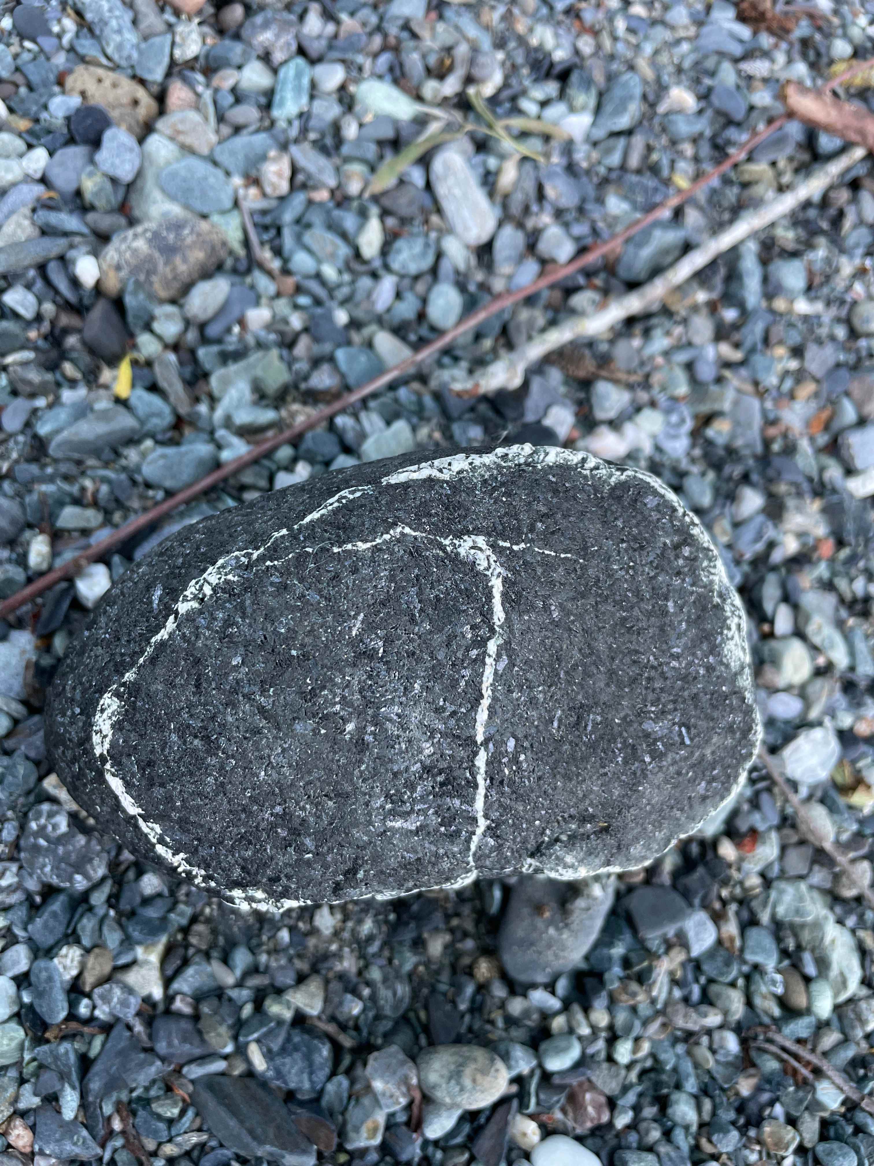 BIGFOOT FLAT on Willow Creek