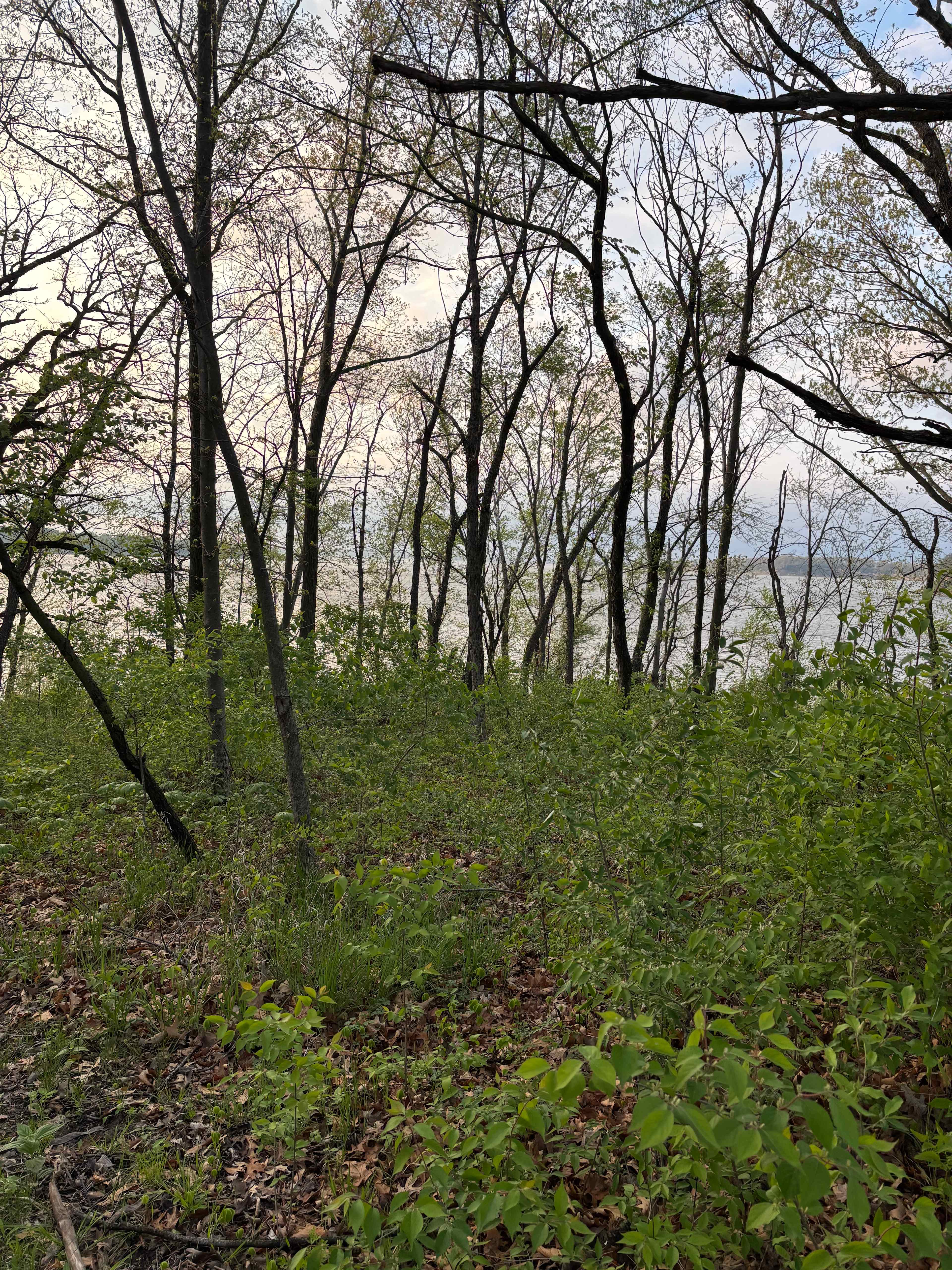 View of lake from boat house 