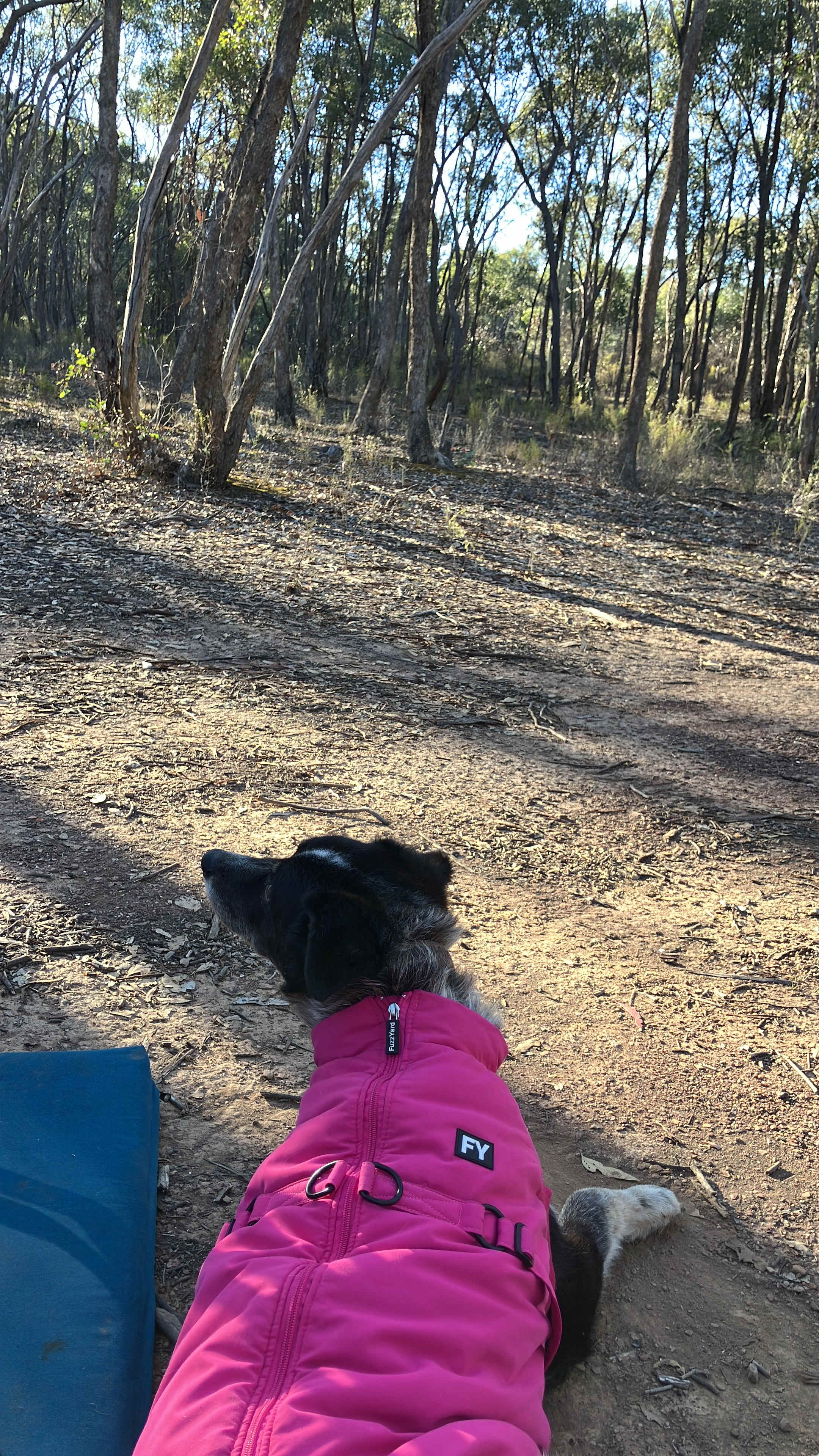 Muckleford Bush Block