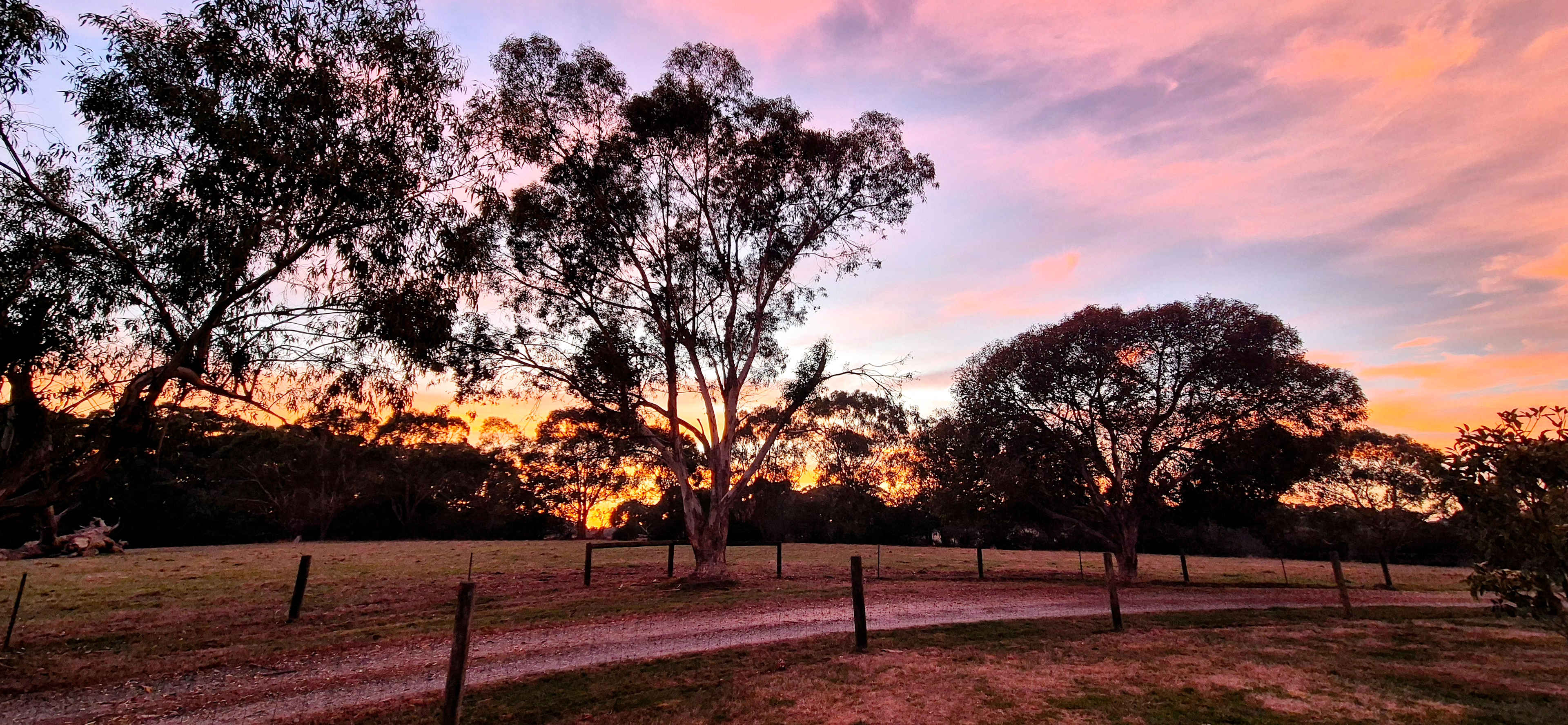 Clancy Springs, South Gippsland