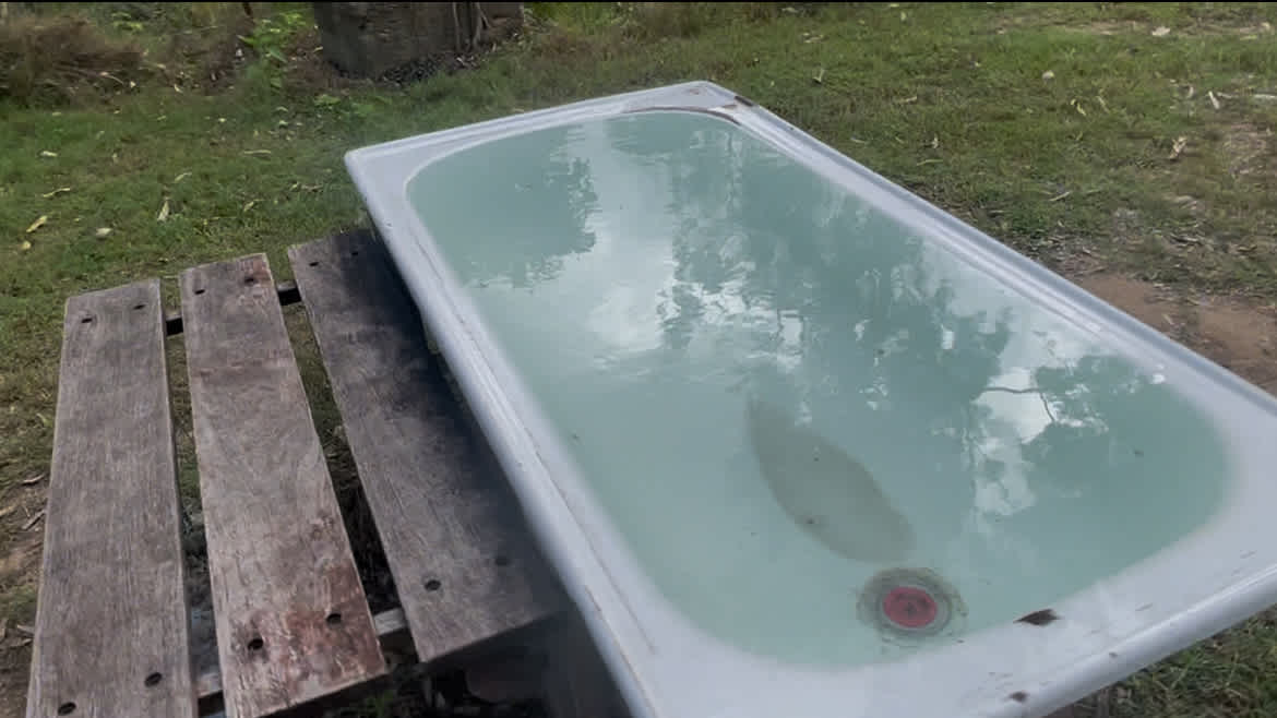Heated bath