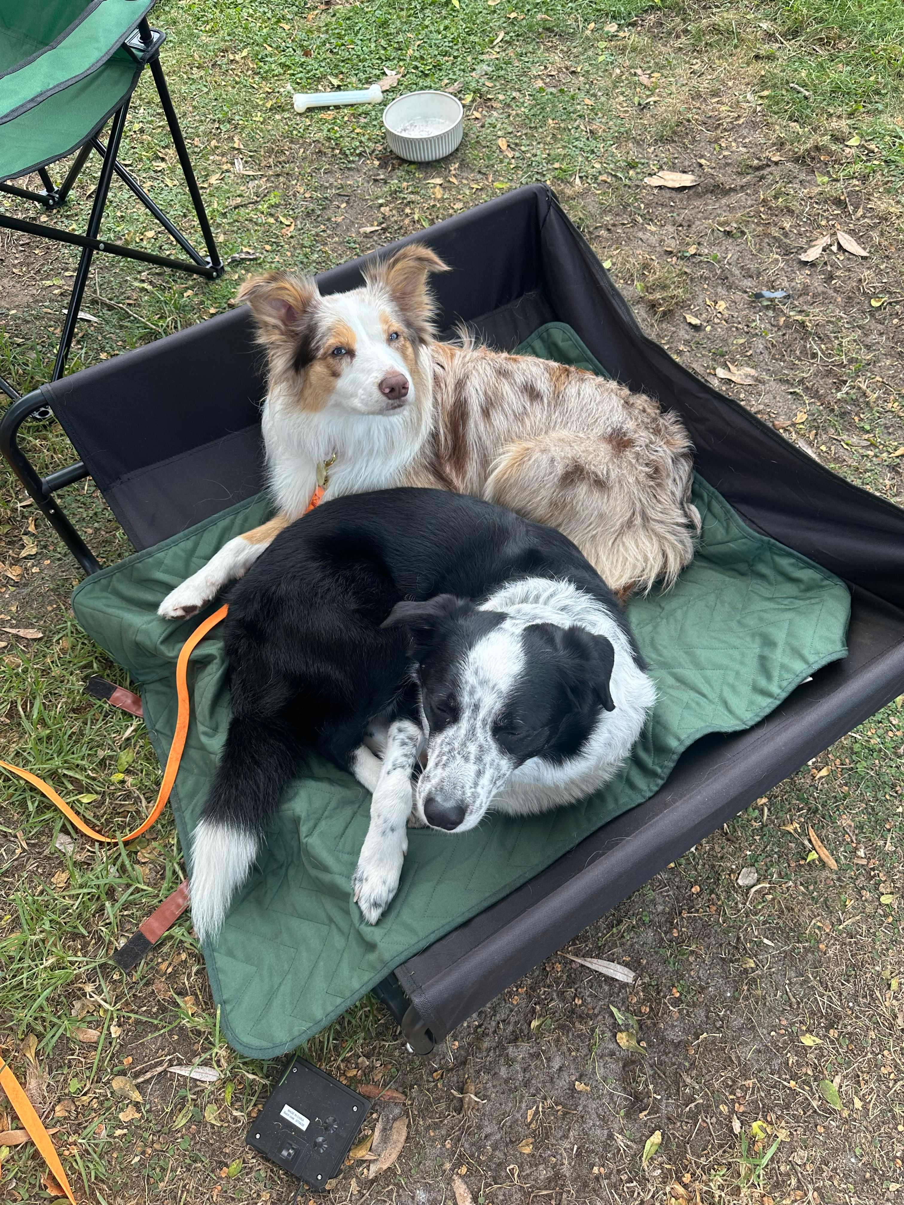 Sandy Point Camping