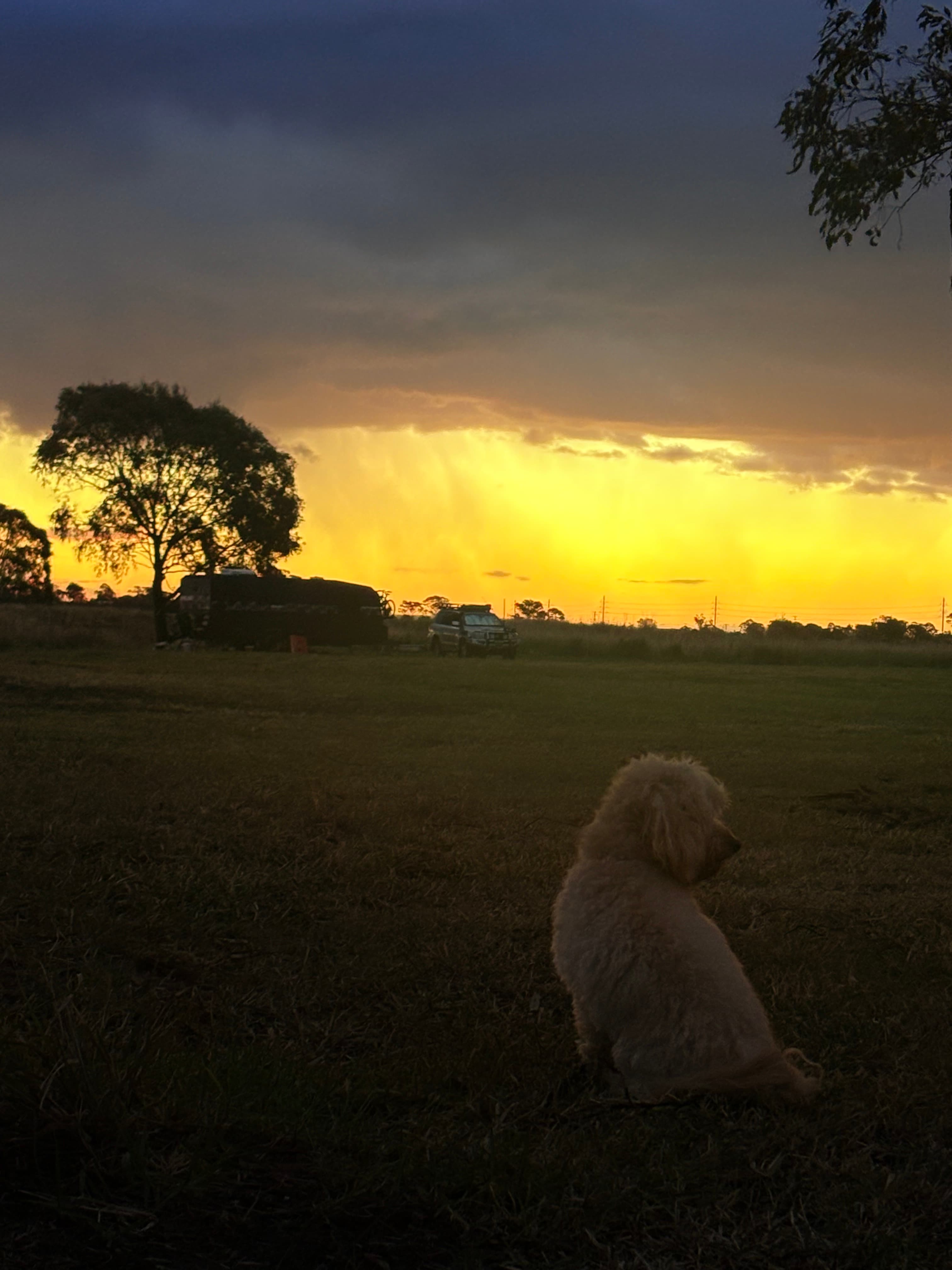 Windy Acres Farm