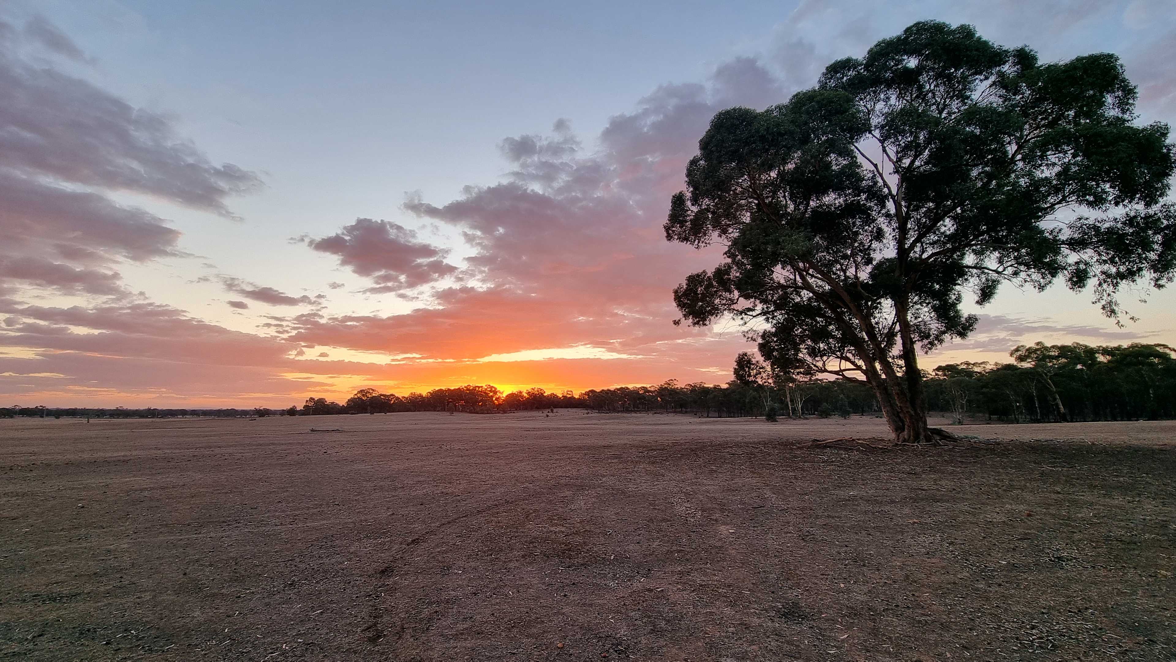Sebastian Grasslands