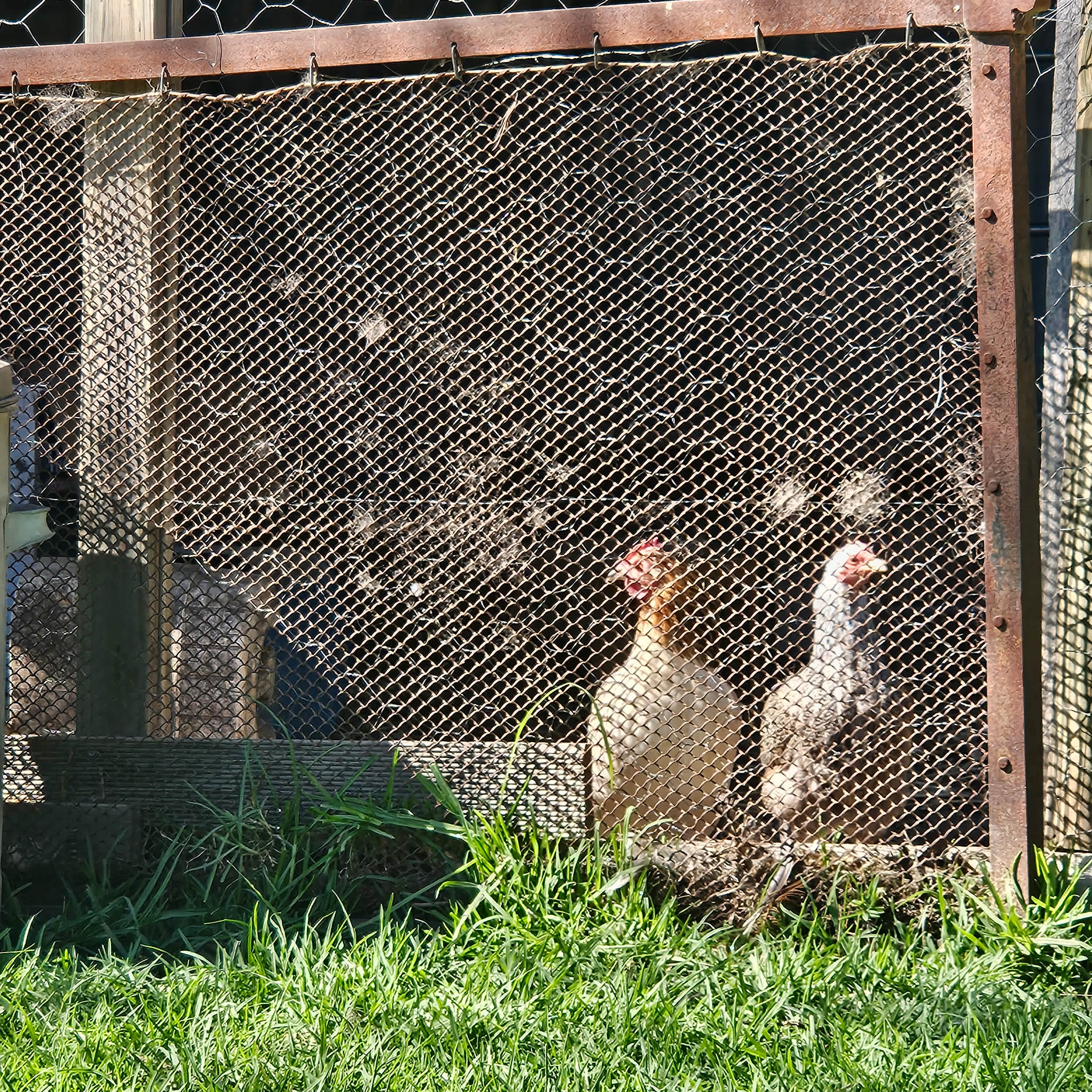 Oakenville Farm, Nundle