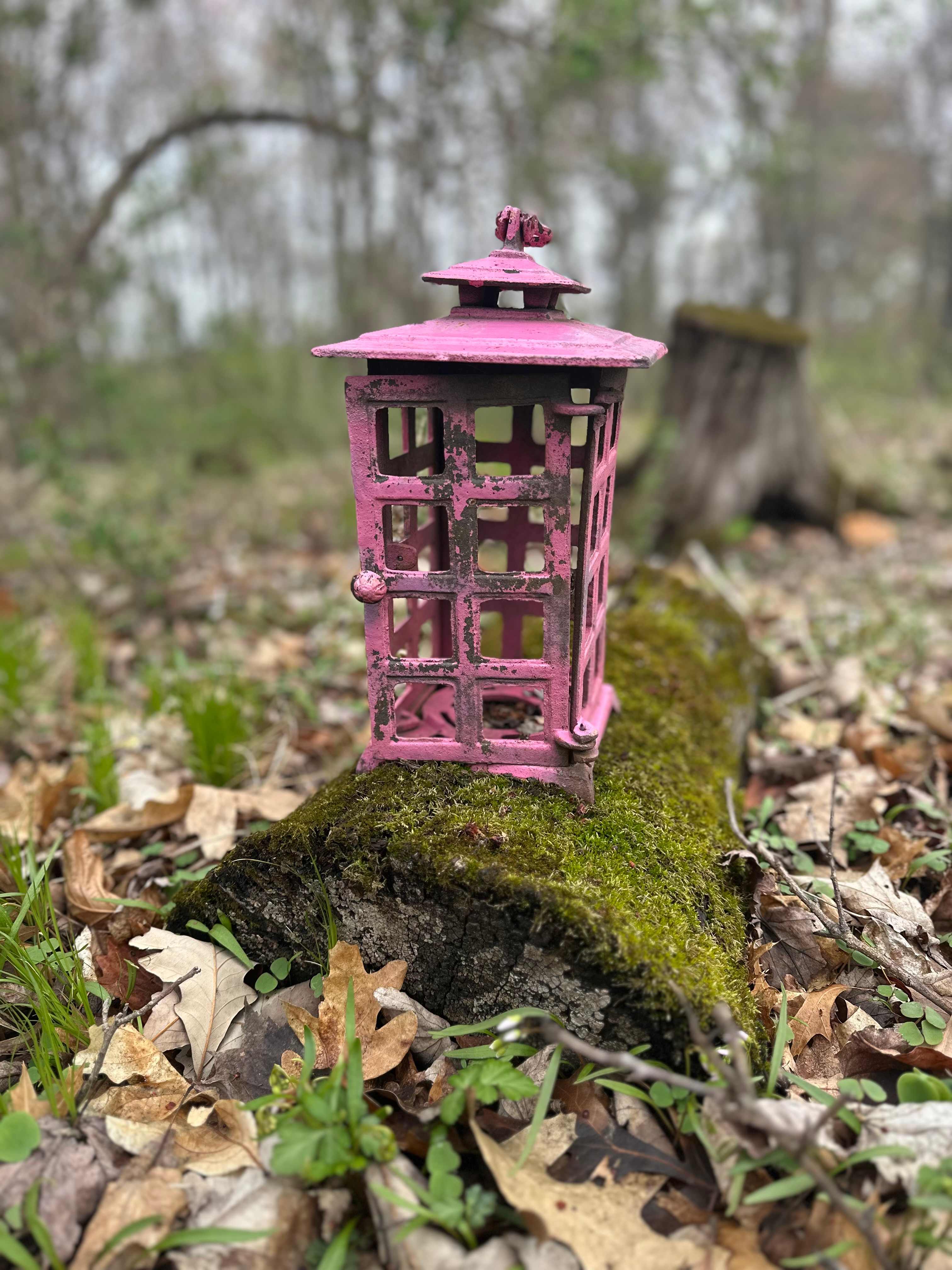 The Hill Family Camping