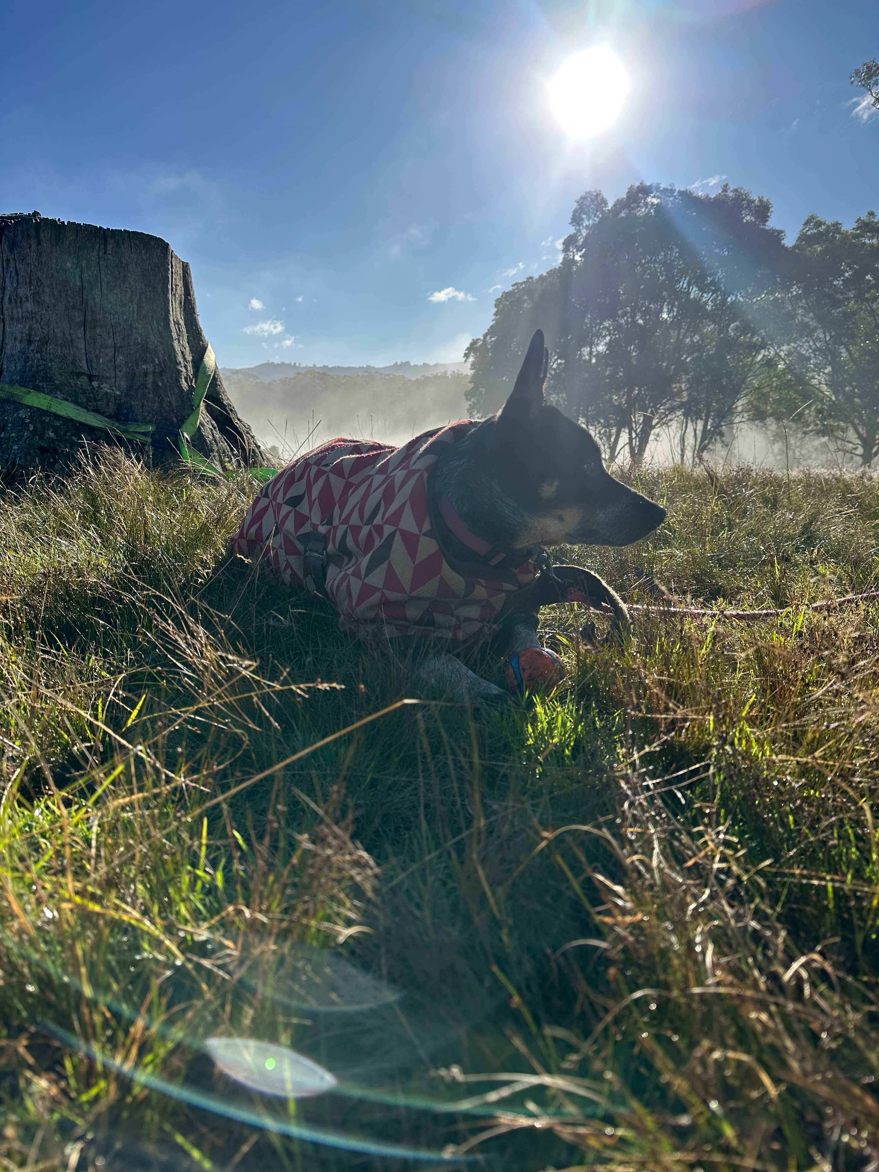 Megalong Valley Farm