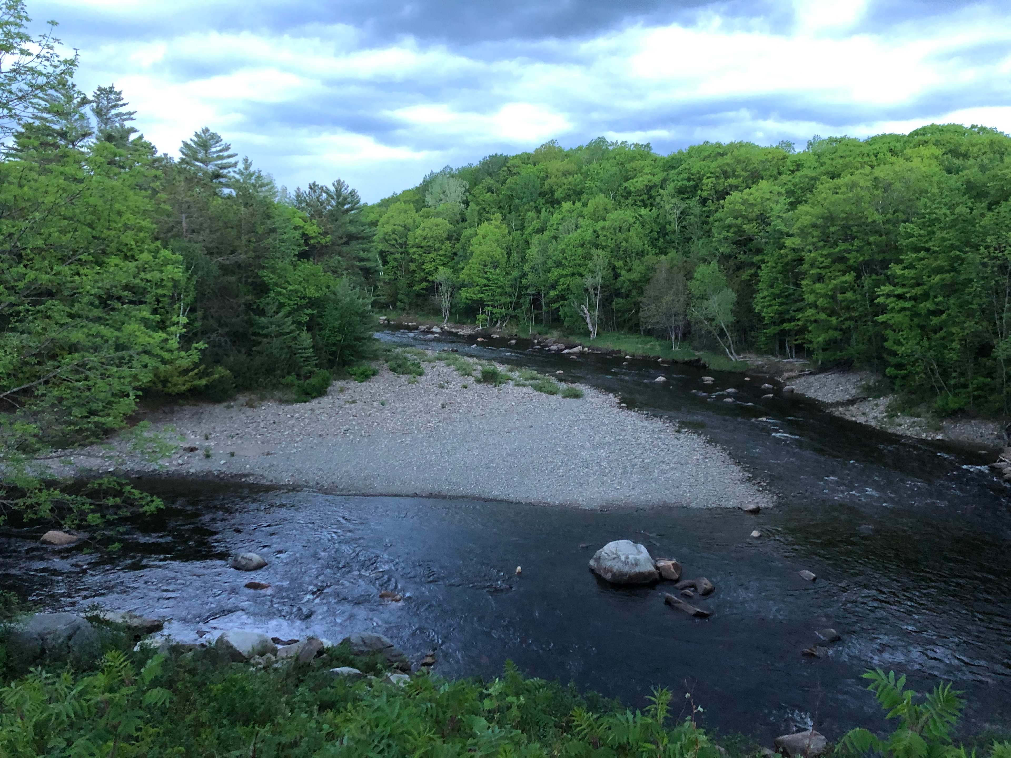 🌲 40 Acres Of Riverfront Serenity