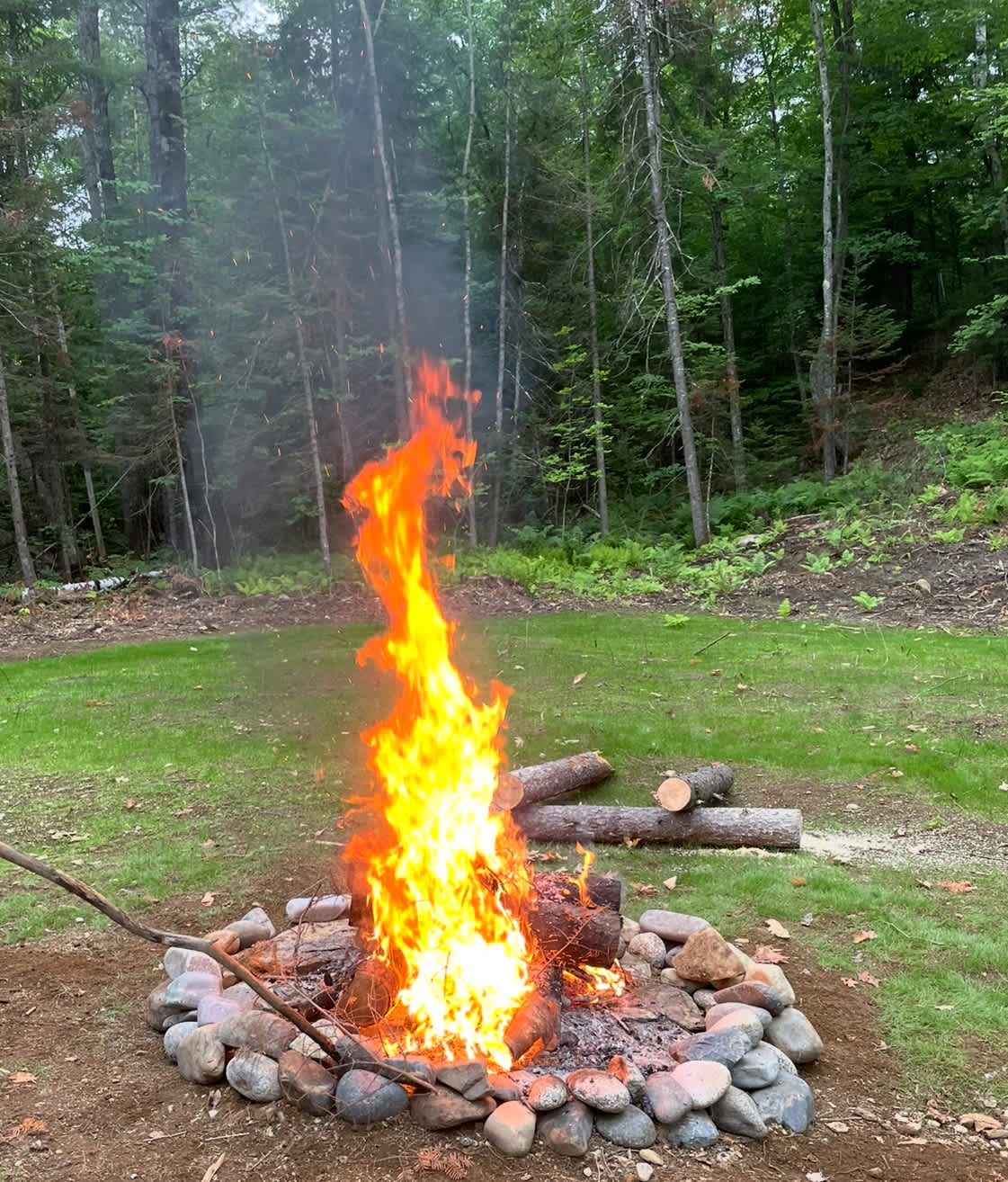 🌲 40 Acres Of Riverfront Serenity