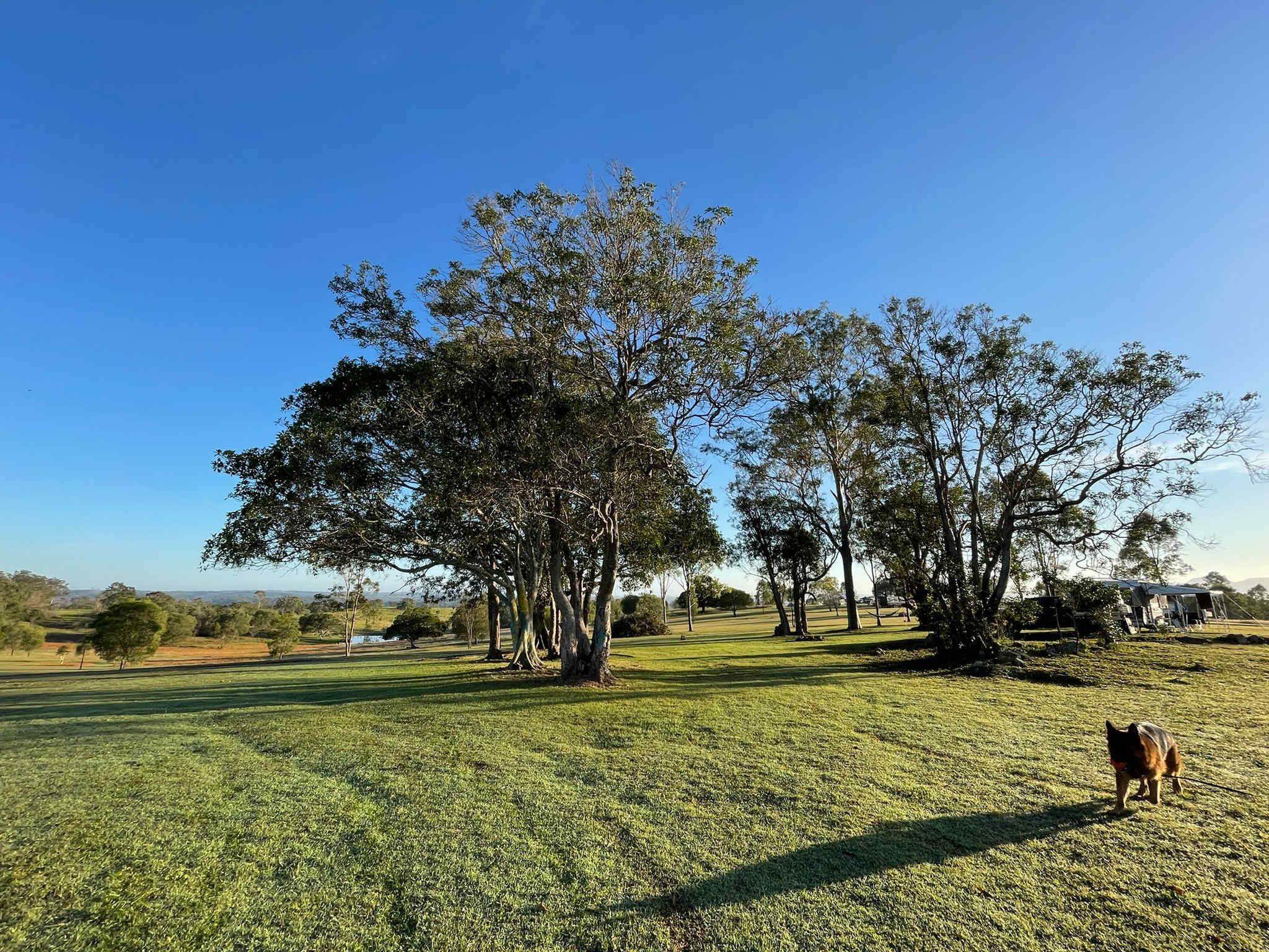 Fig Tree Camp