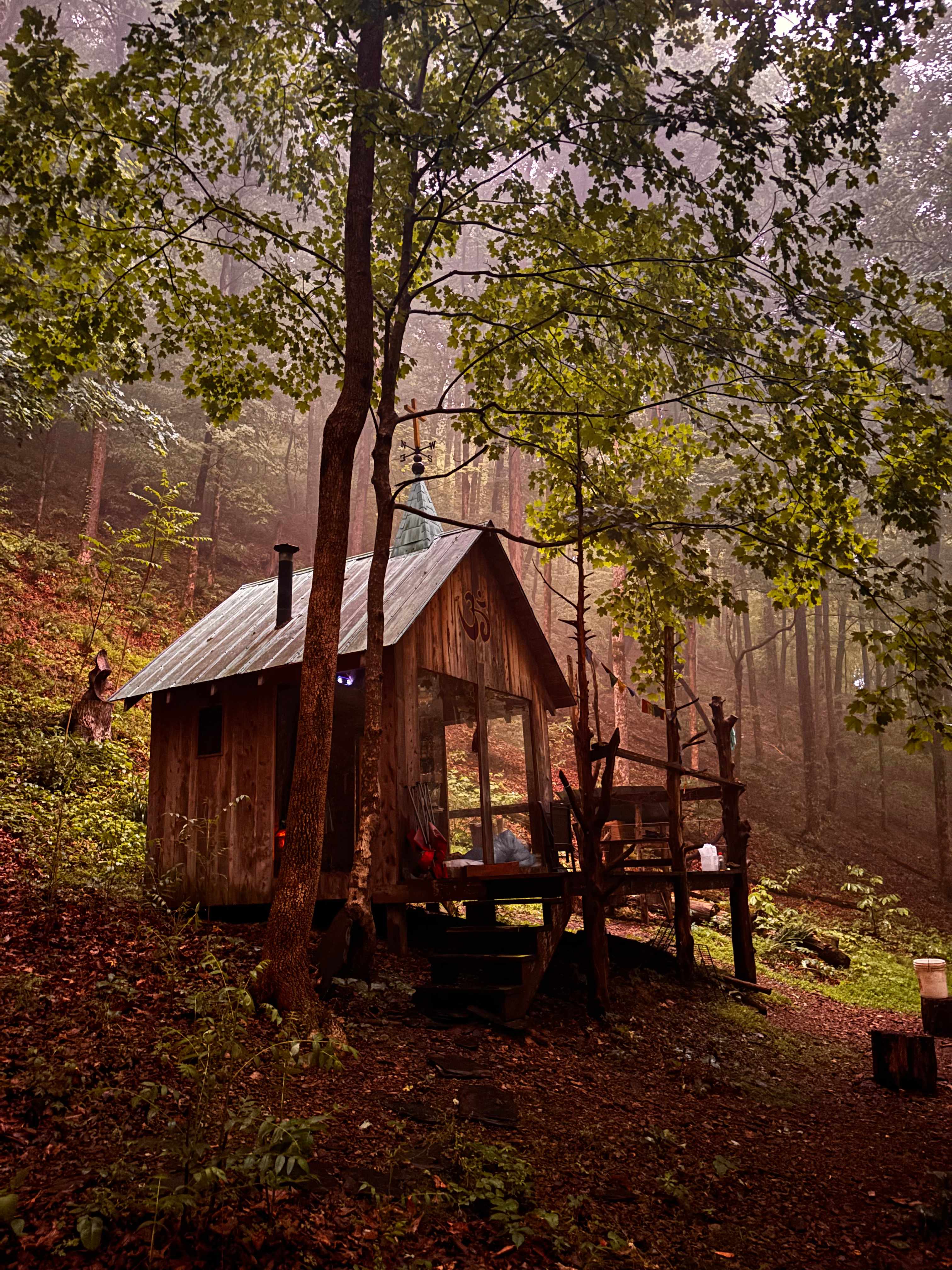 Beech Hollow Hideout