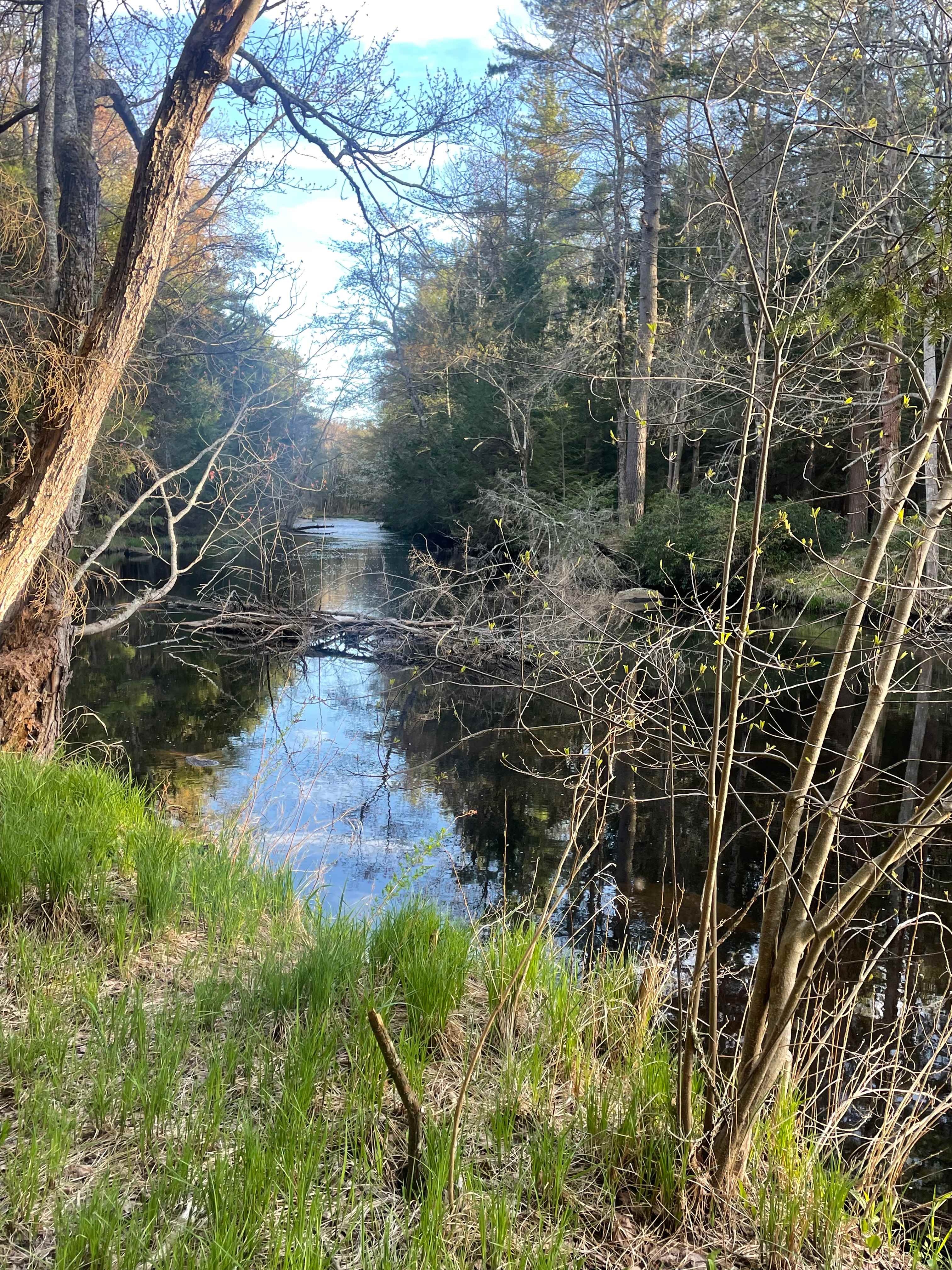 Bigfoot Camping Ground