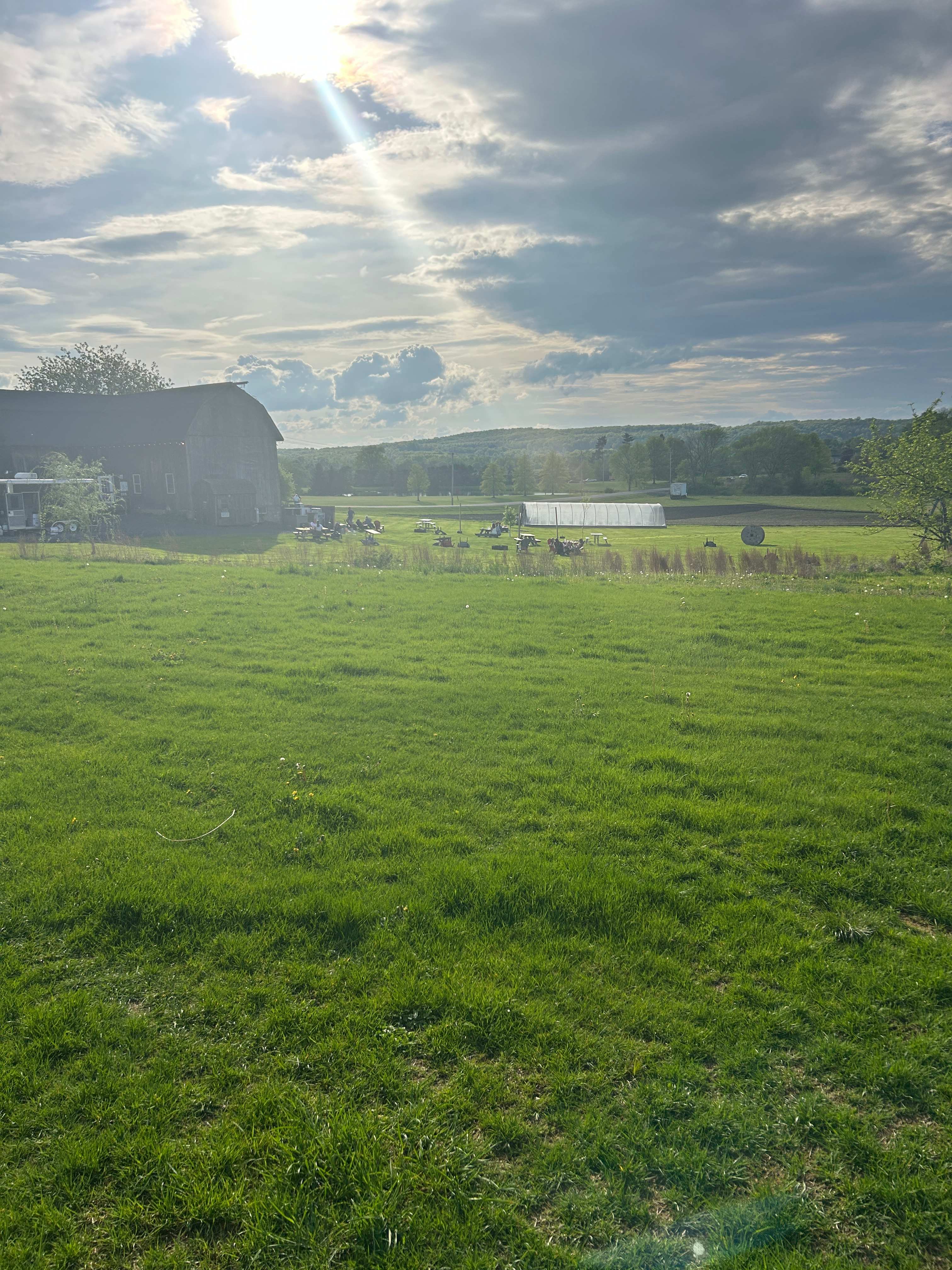 Brown Barn Farms