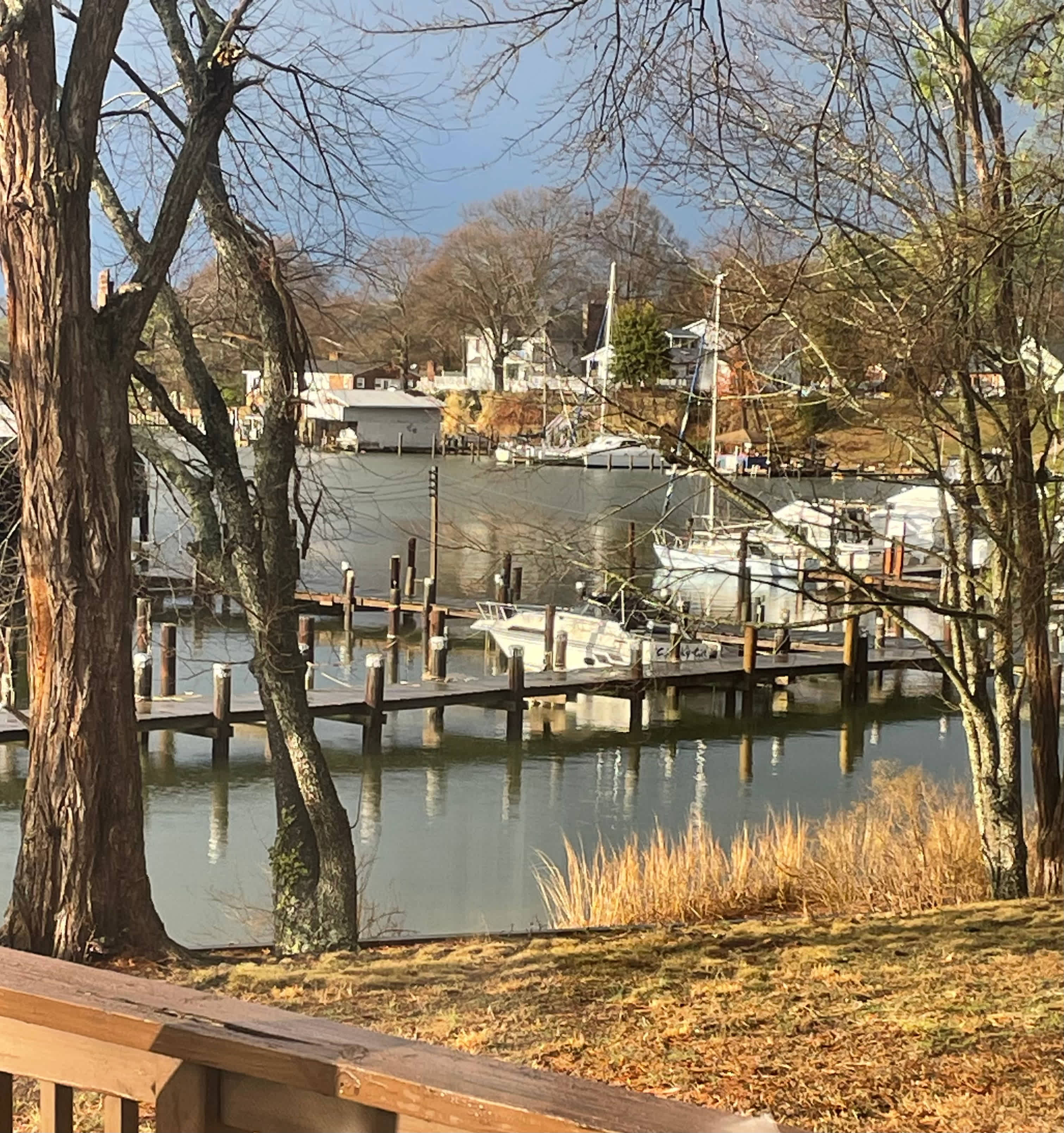 Harbor View