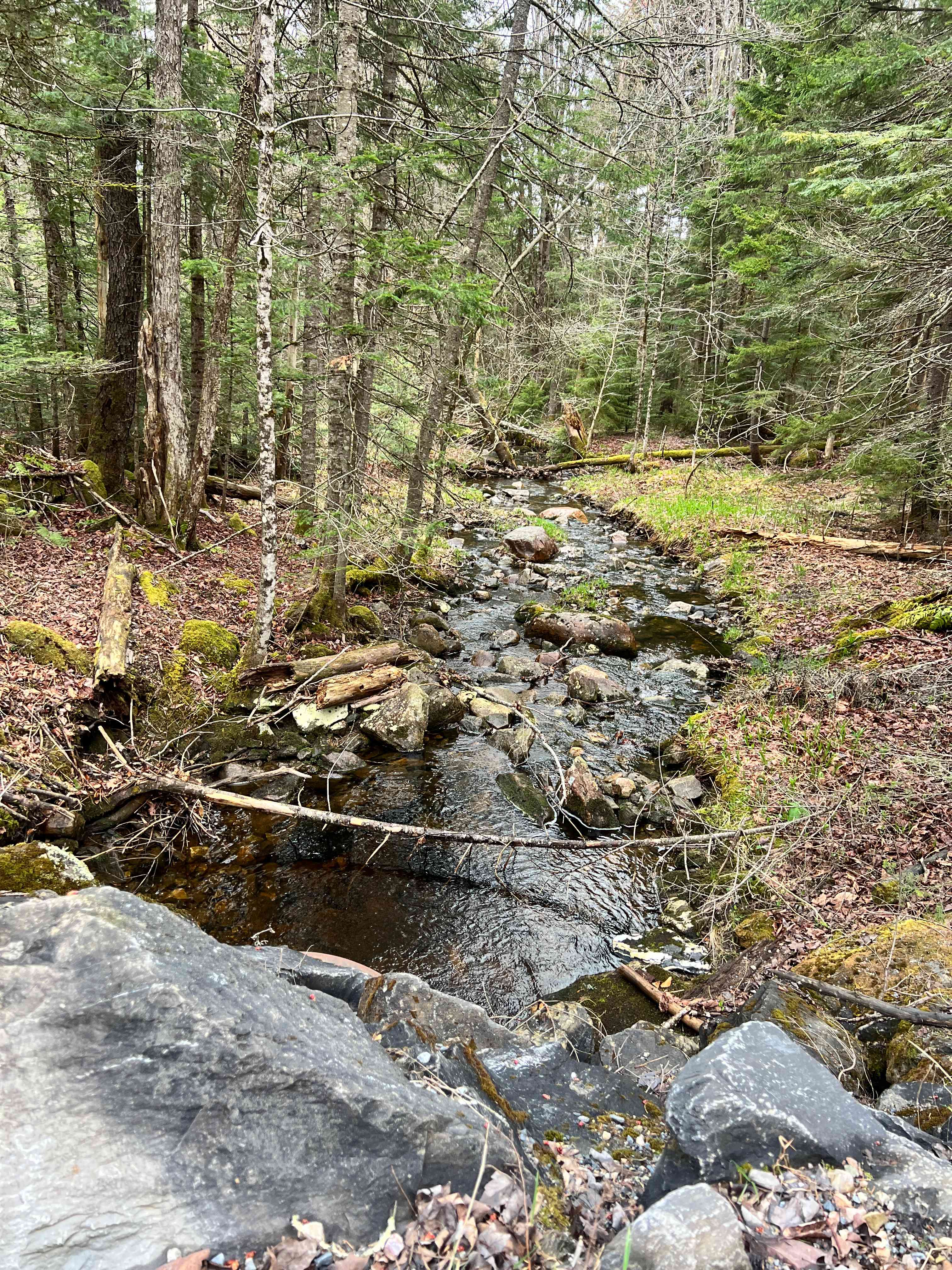 Grateful Acres Vermont