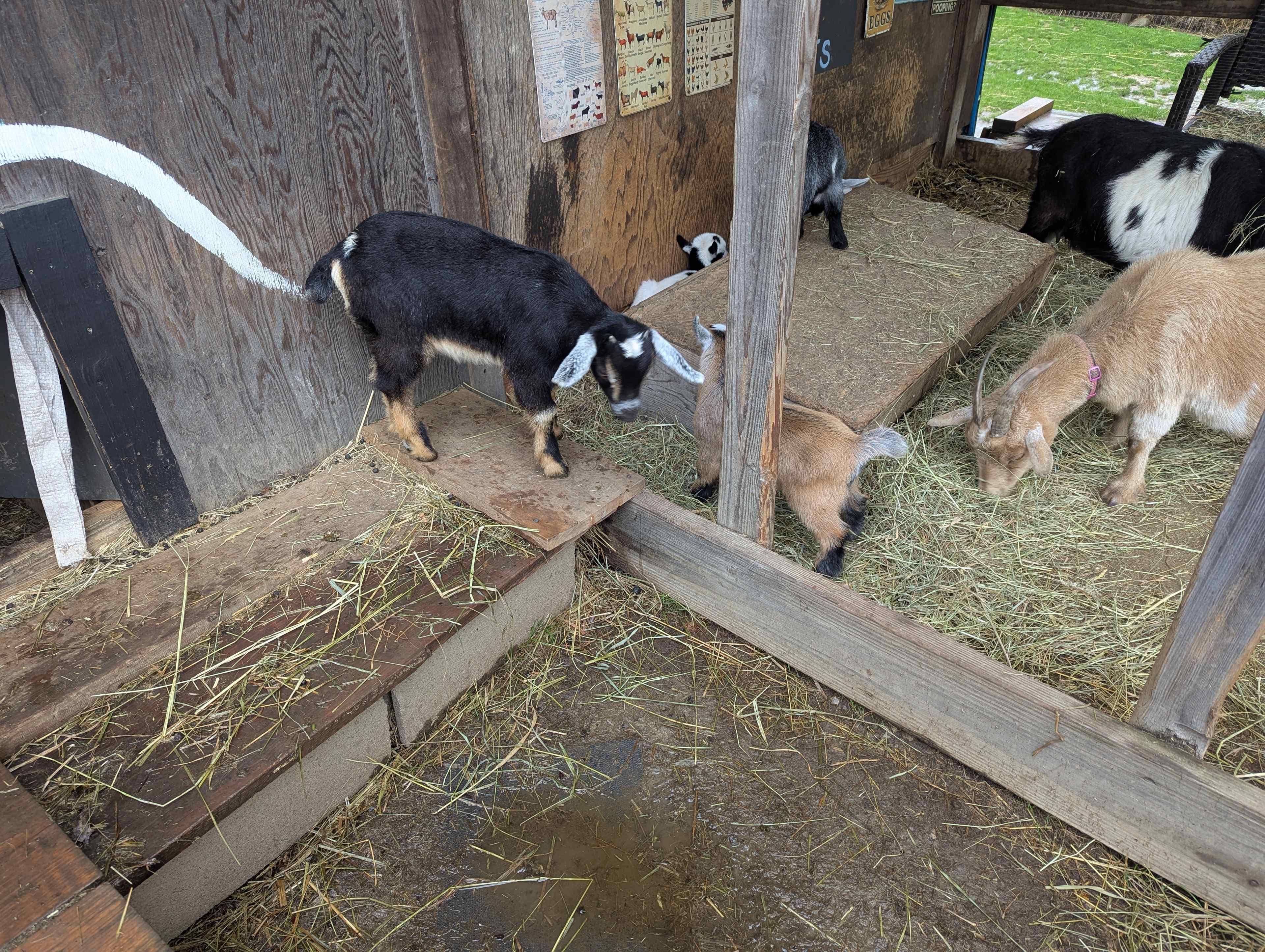 Goat Farm Hide-Away CVNP