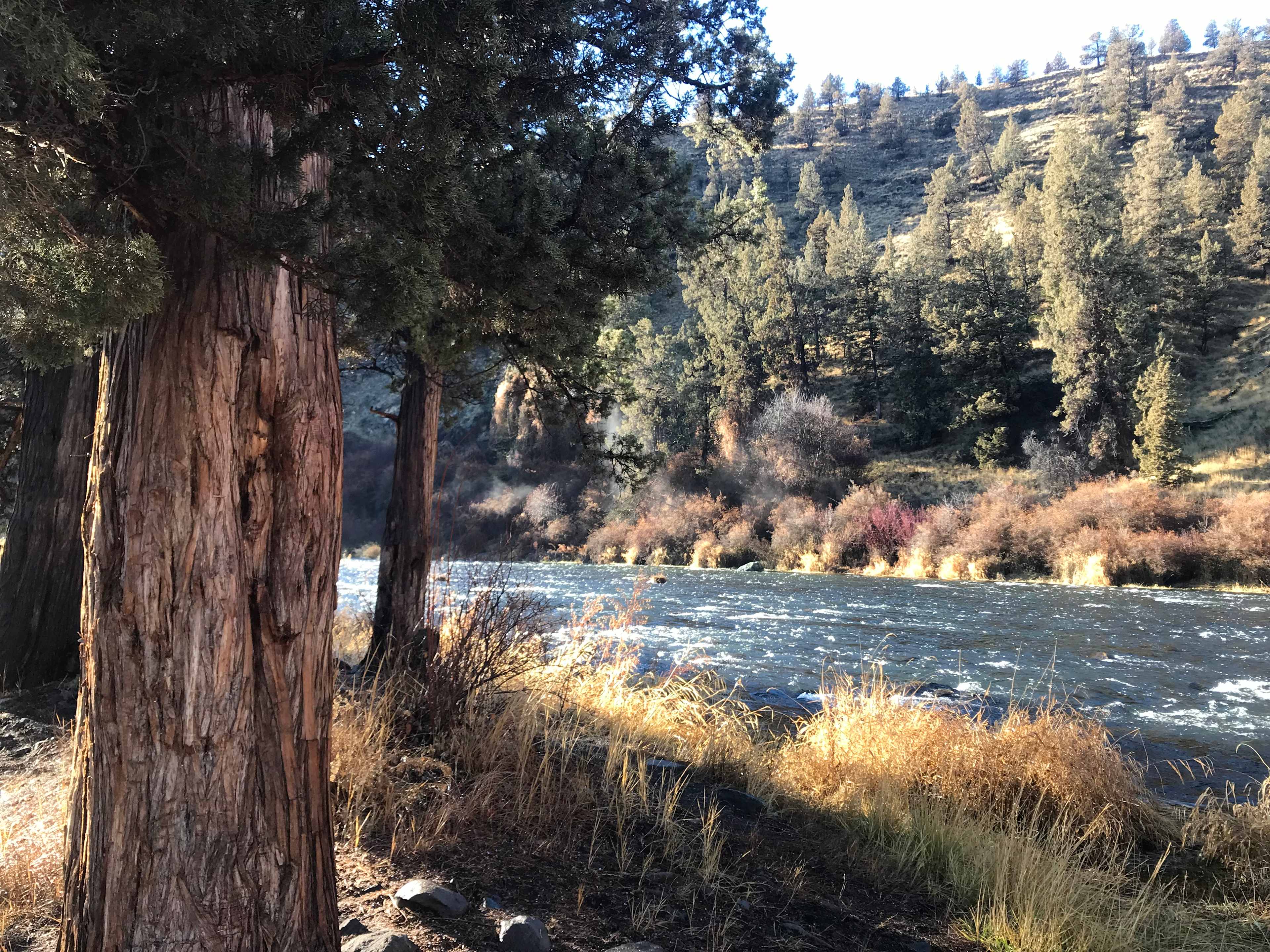 A Refuge by the River