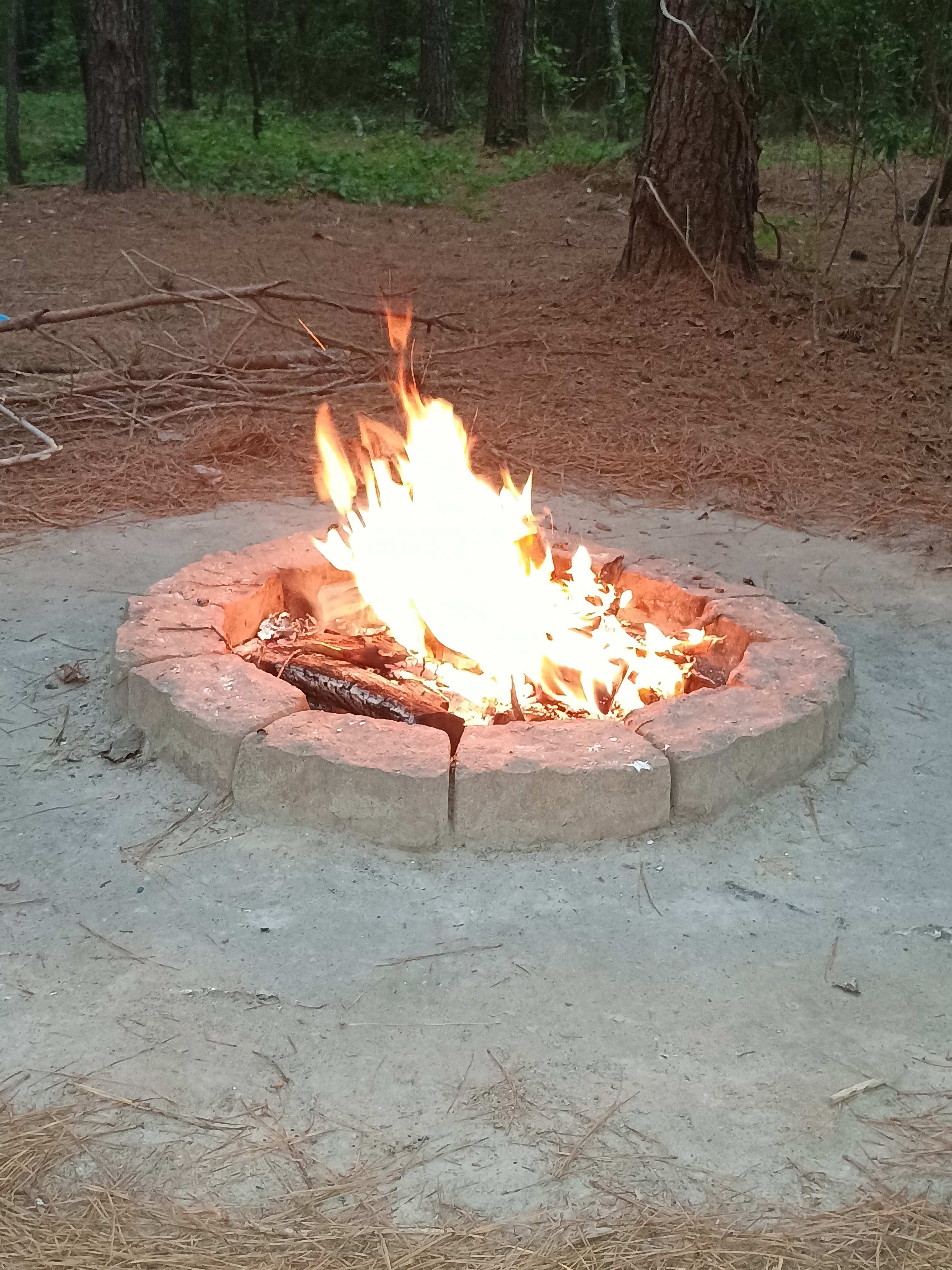 Cedar Creek Campground at Elease