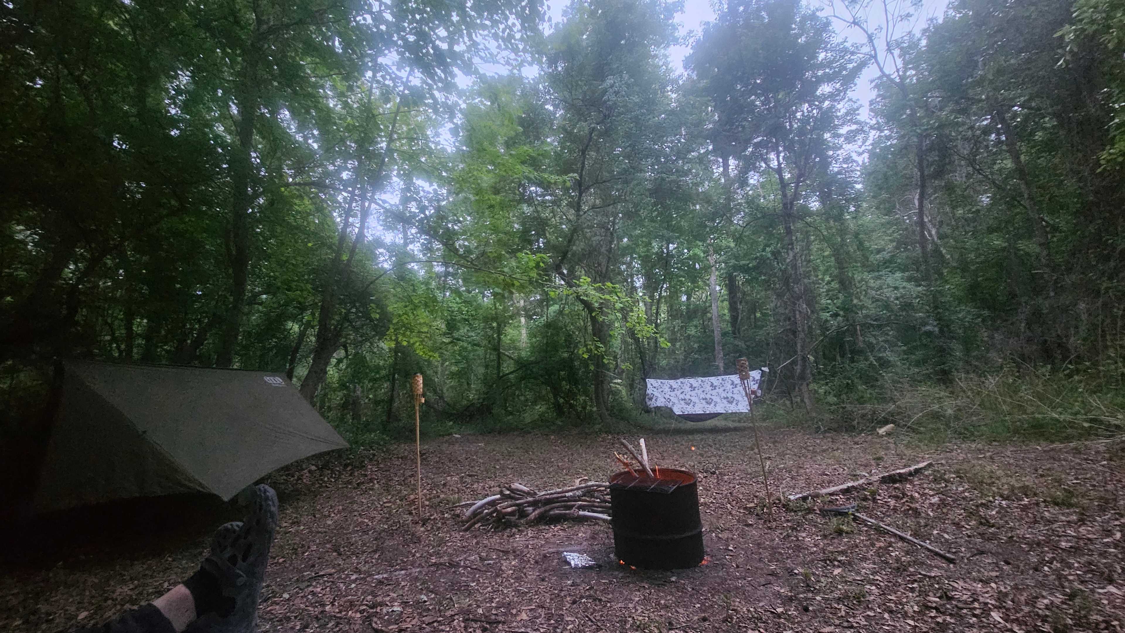 Hammock in the new nodded site