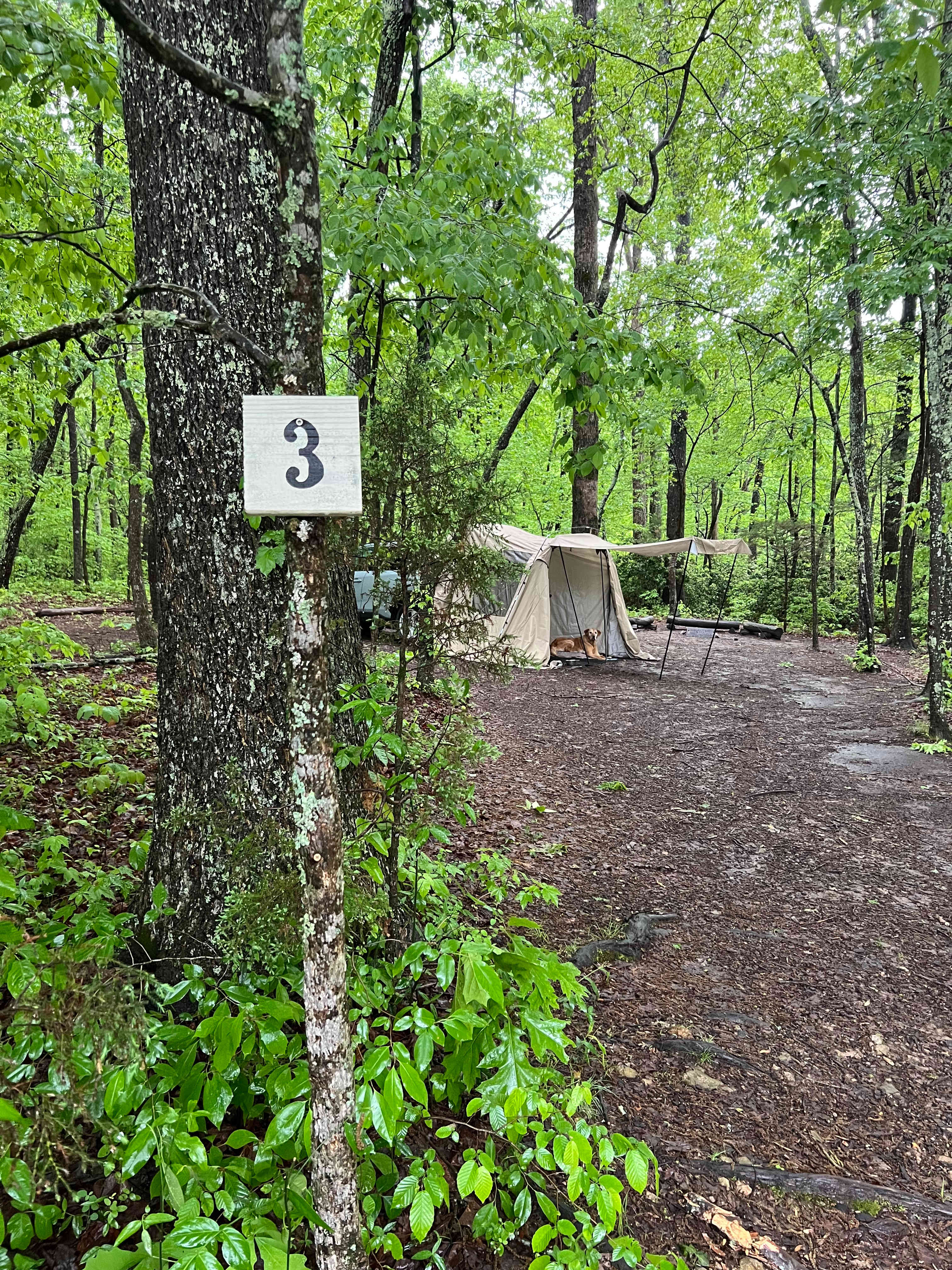 Site 3 entrance 