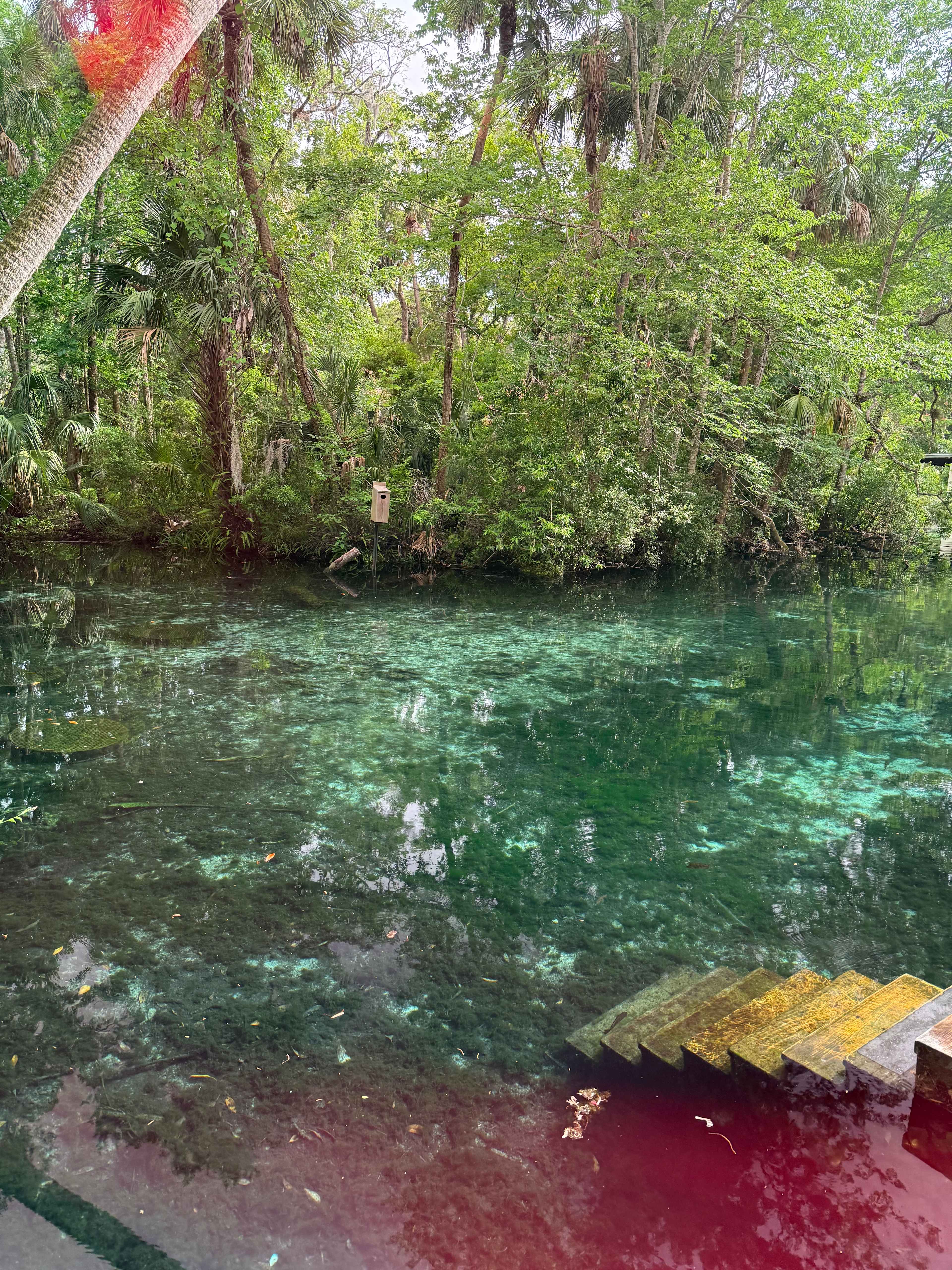 Manatee Delight RV Camp Site