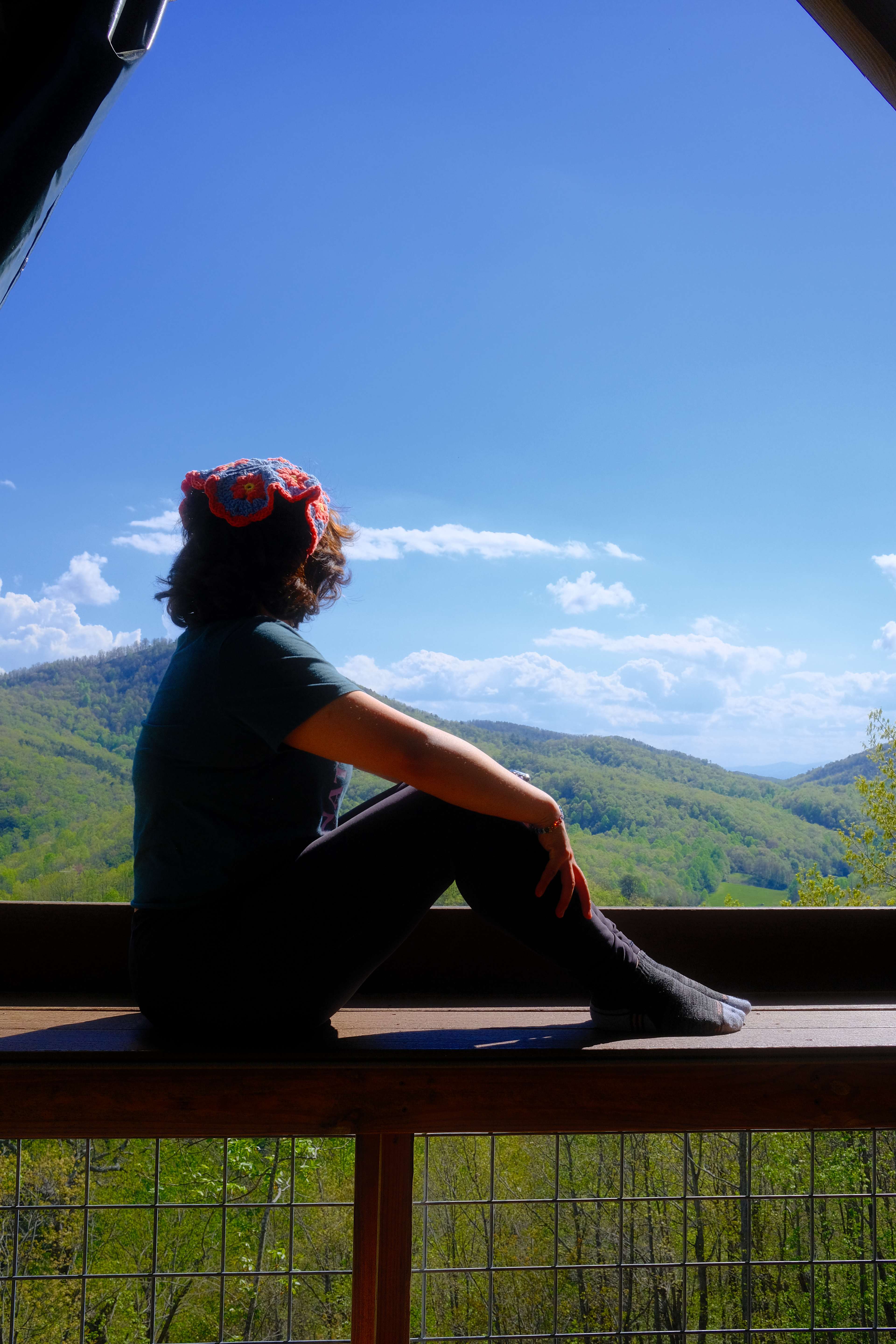 Above the Fray Glamping, Black Mtn.
