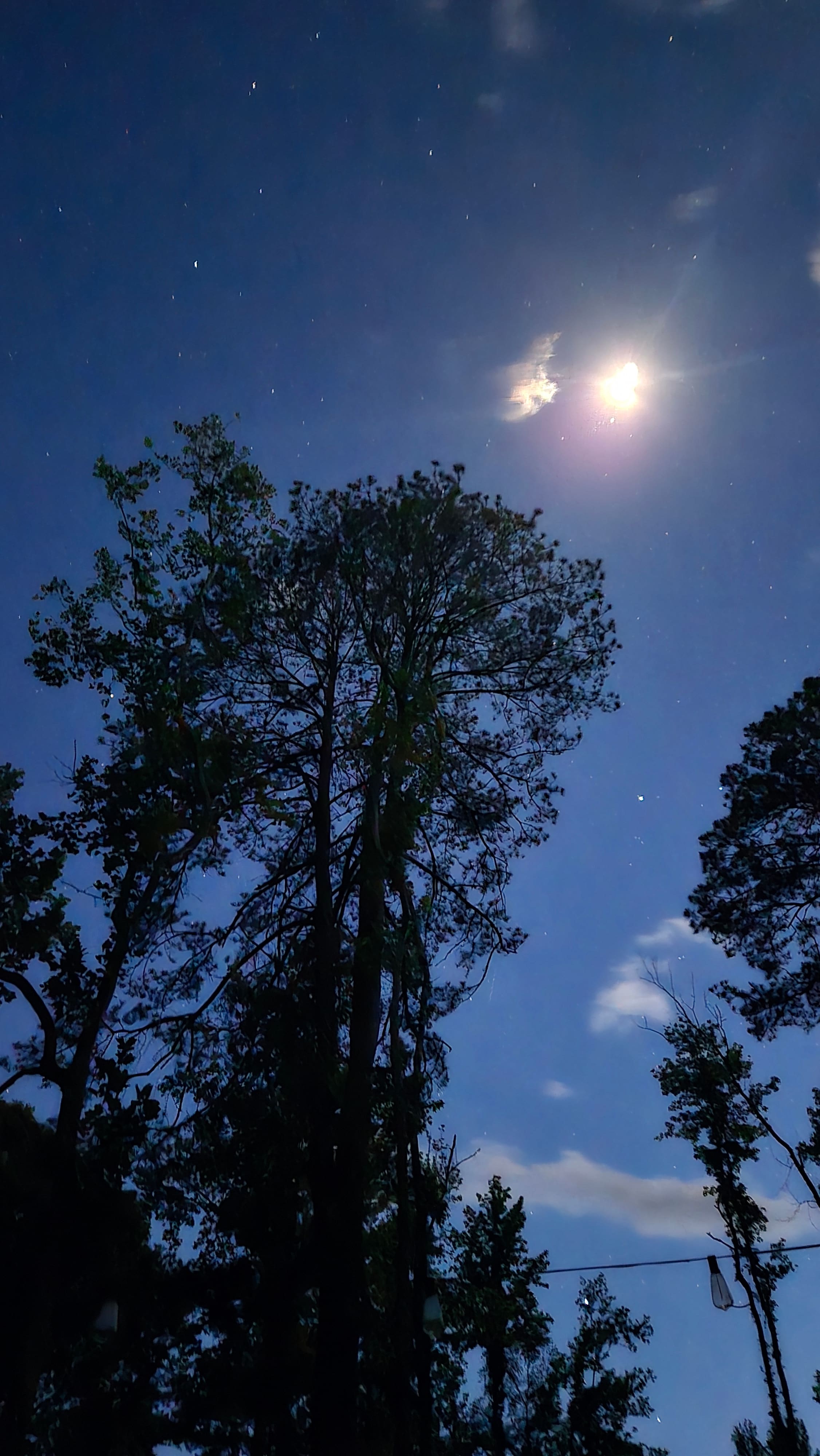 Night sky on site