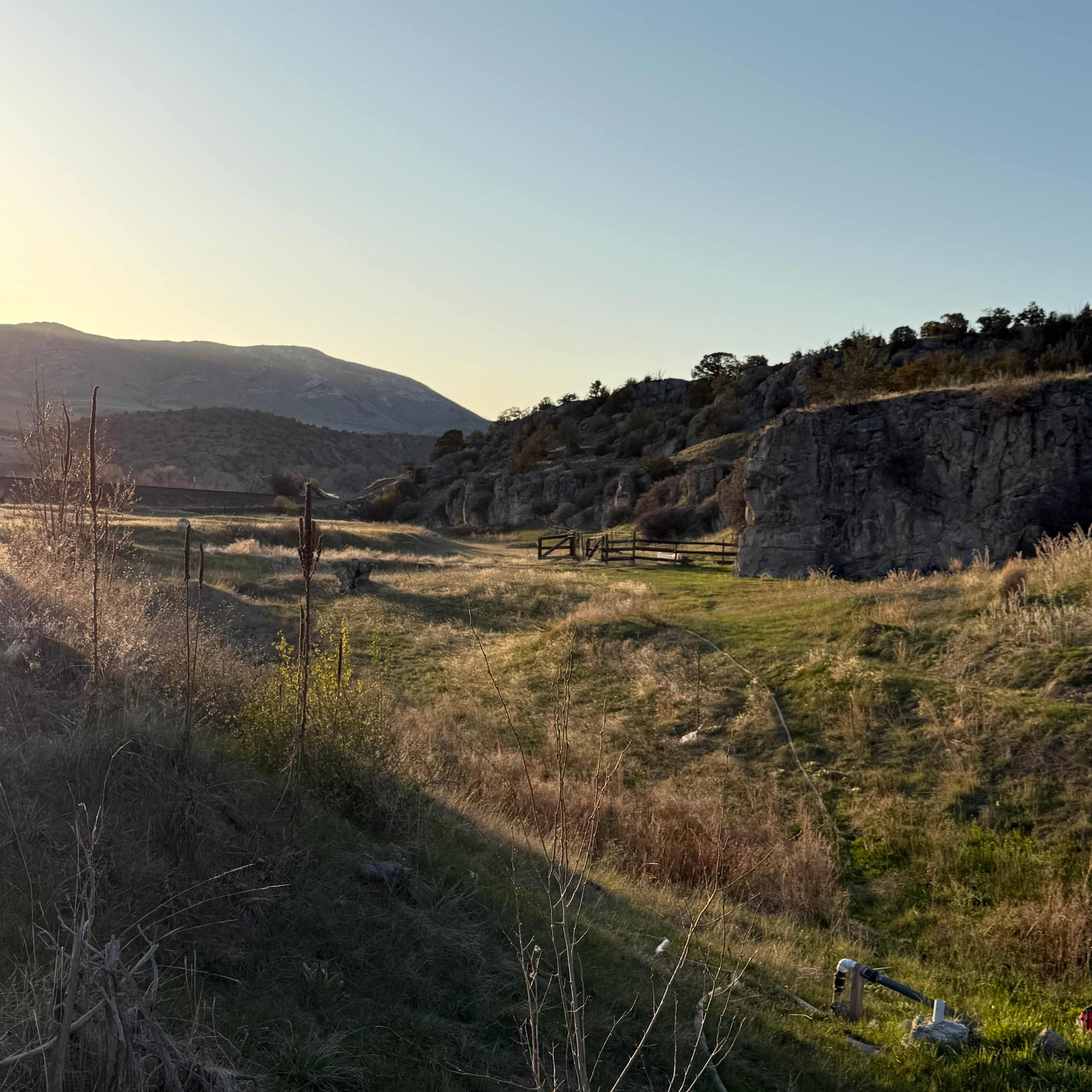 Cliff side 
