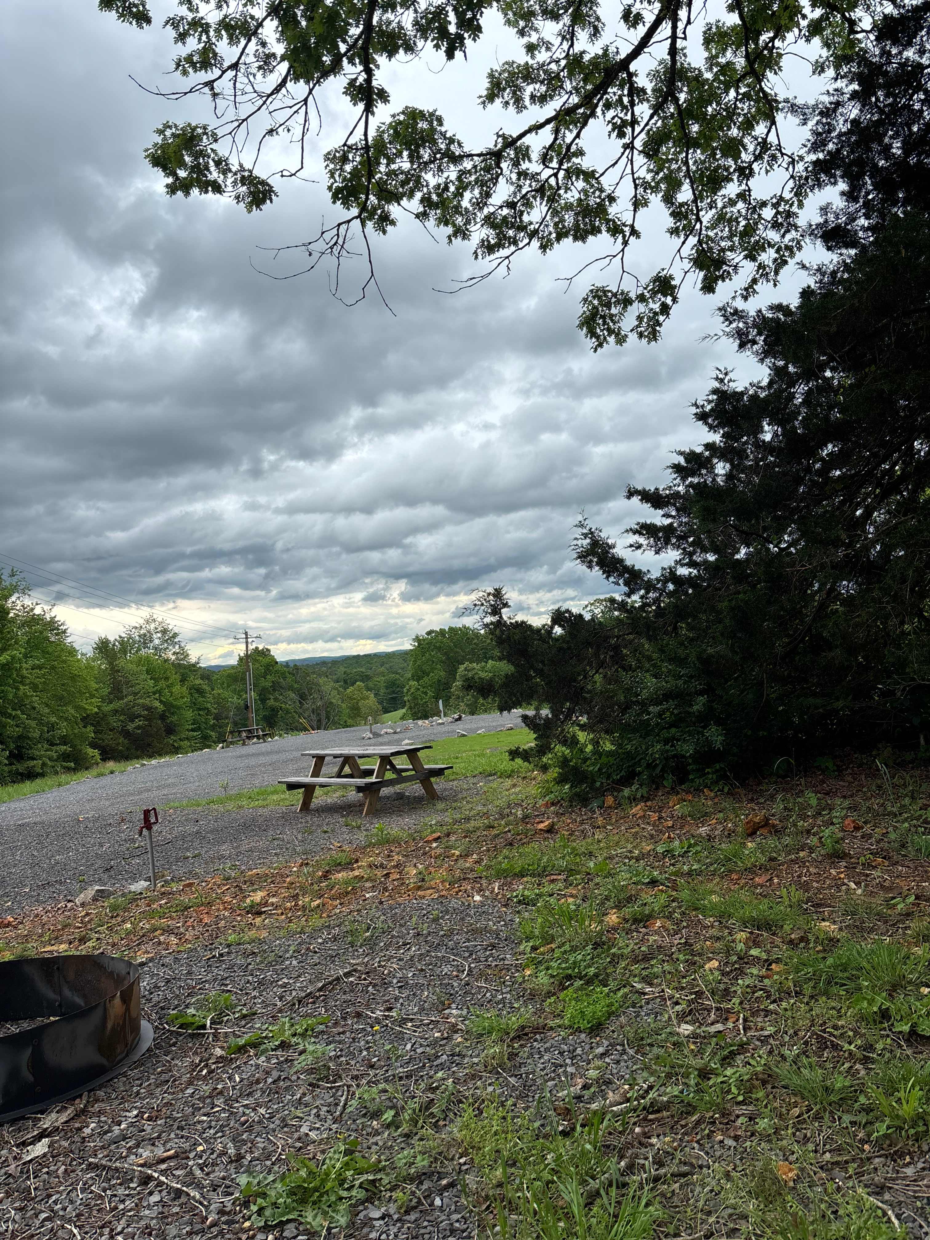 Grassy Road Cabins and RV Camping