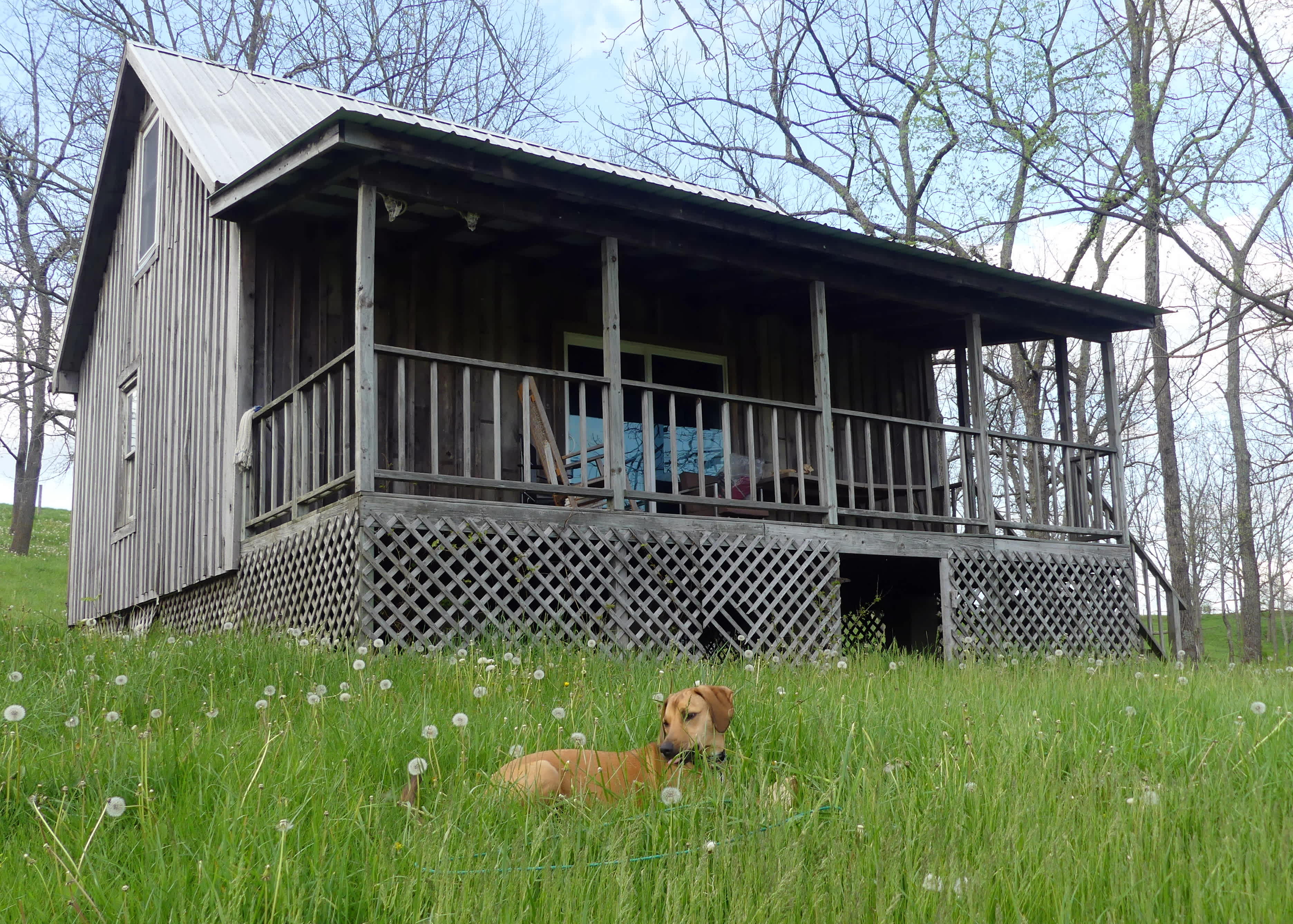 Relaxing at the cabin