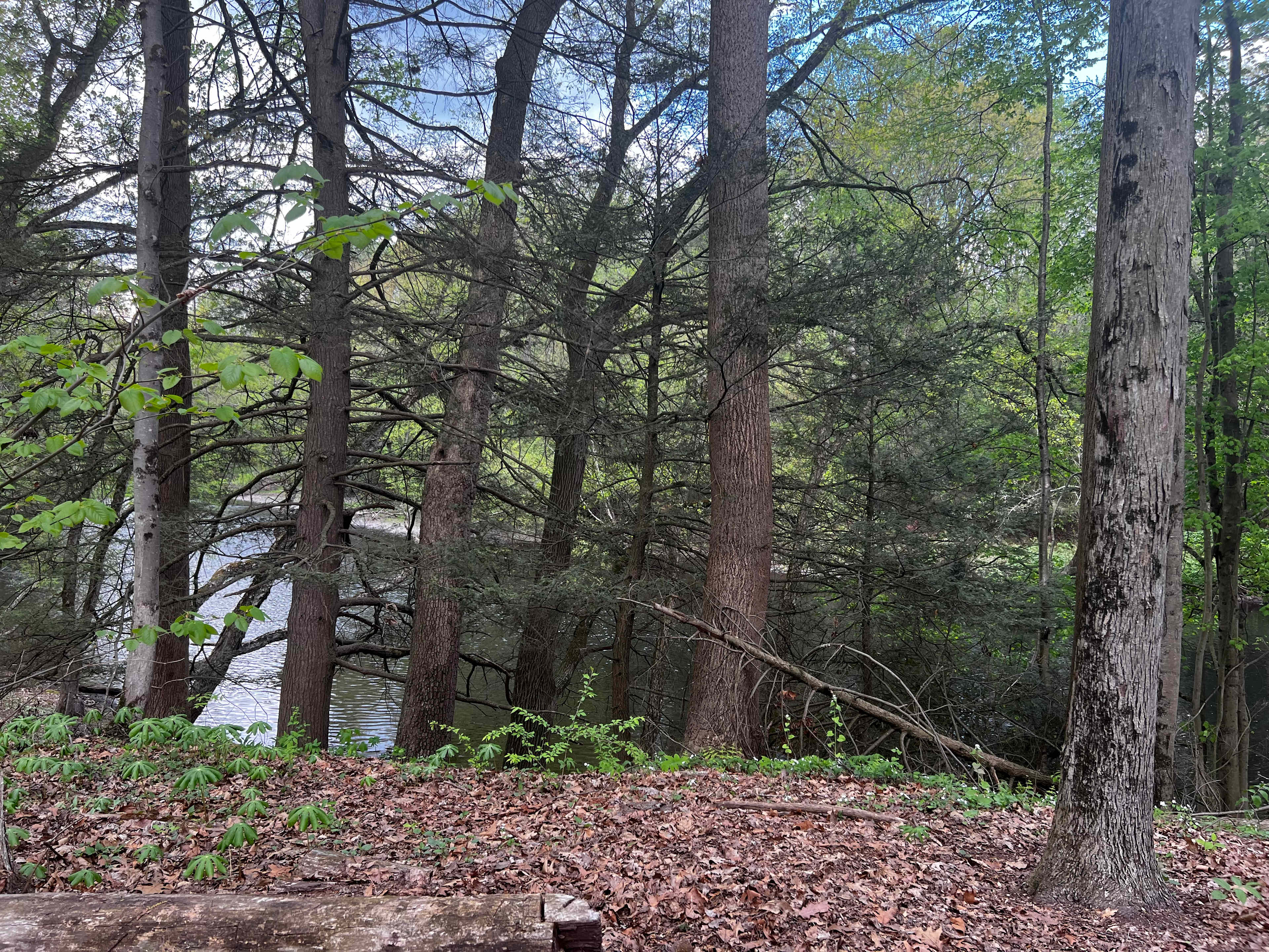 Peace & Quiet by the River!