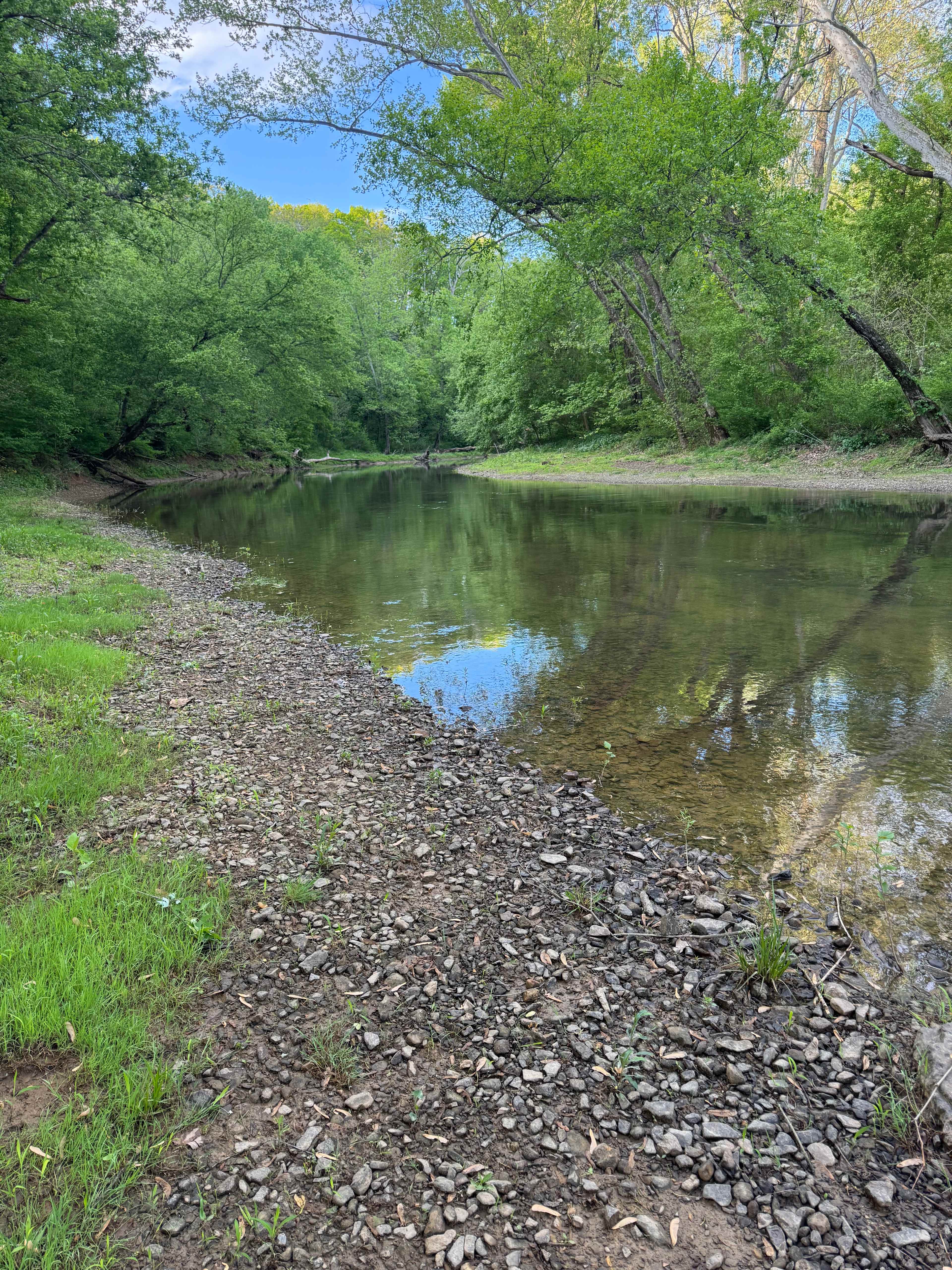 Eagle Ridge On Back Creek