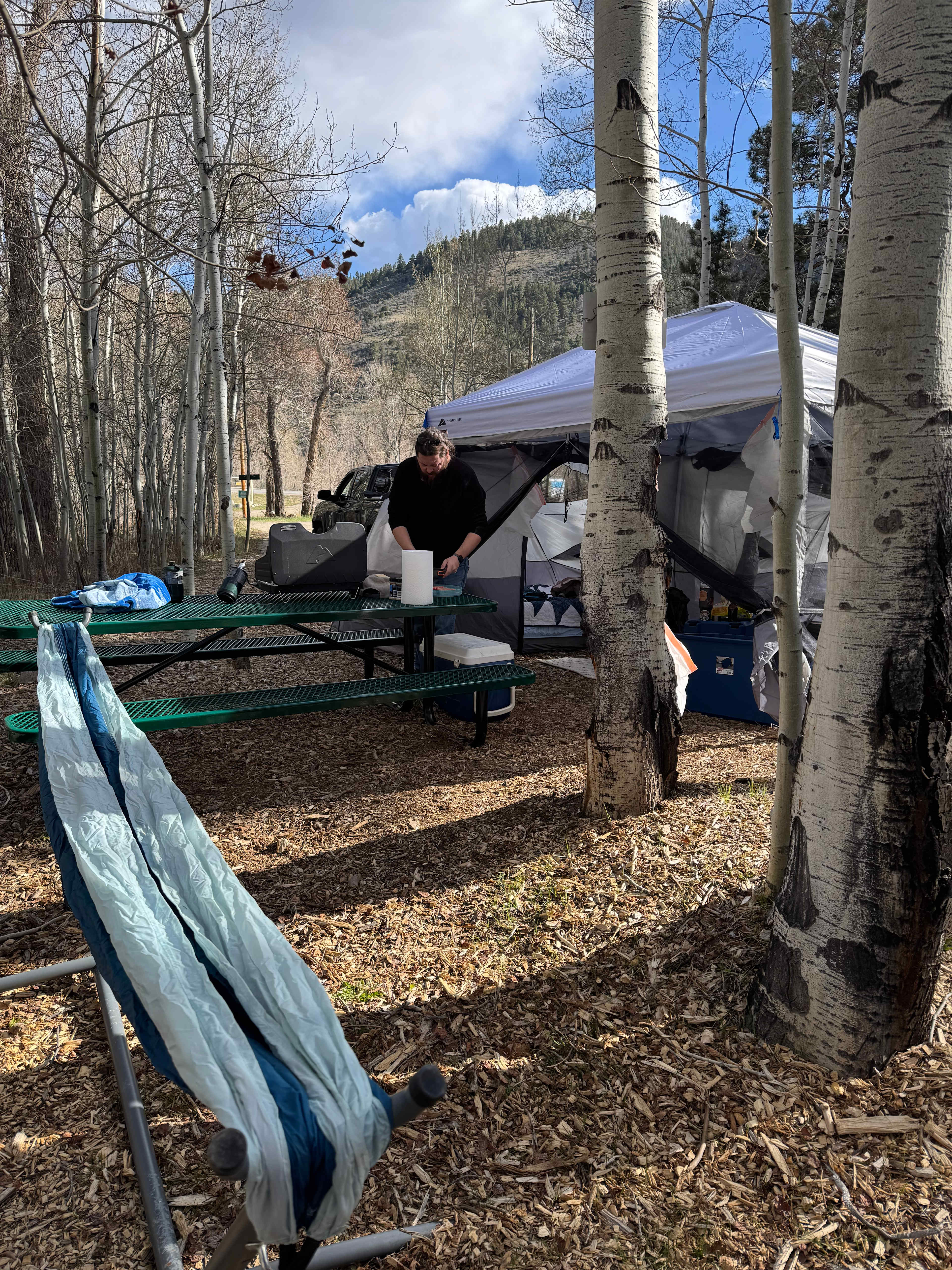 Creekside Chalets