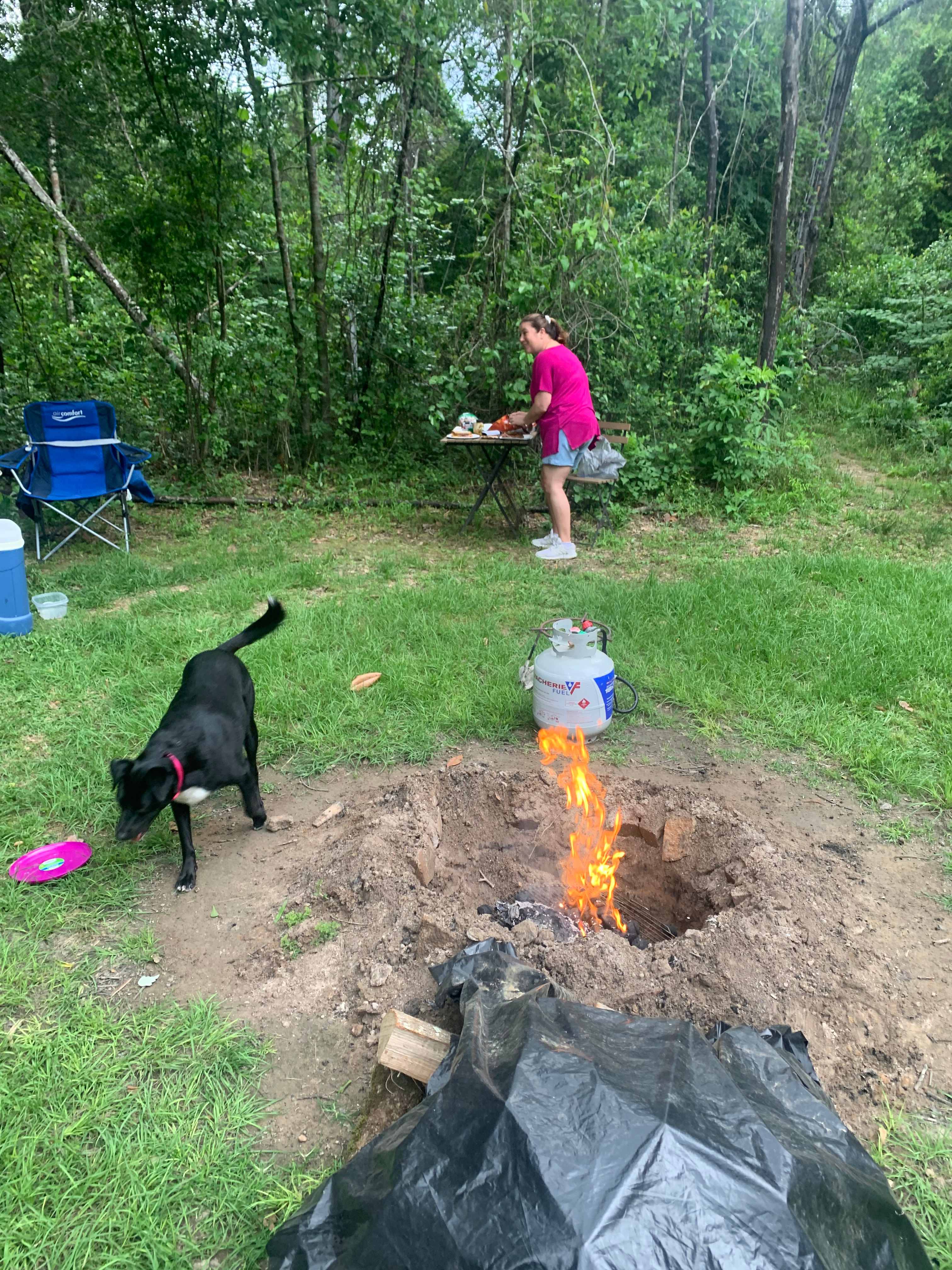 Dog friendly 