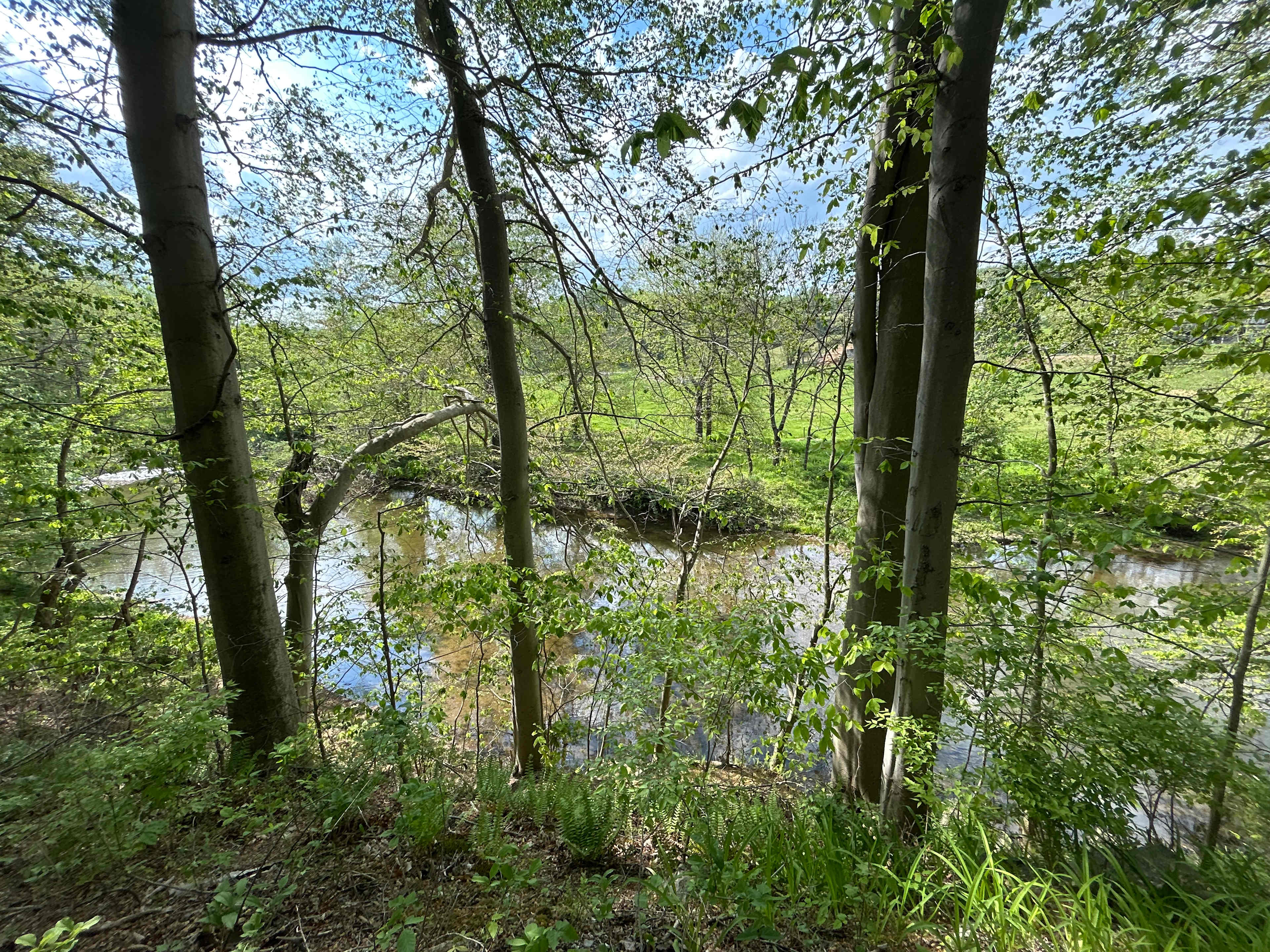 Laureleye Farms