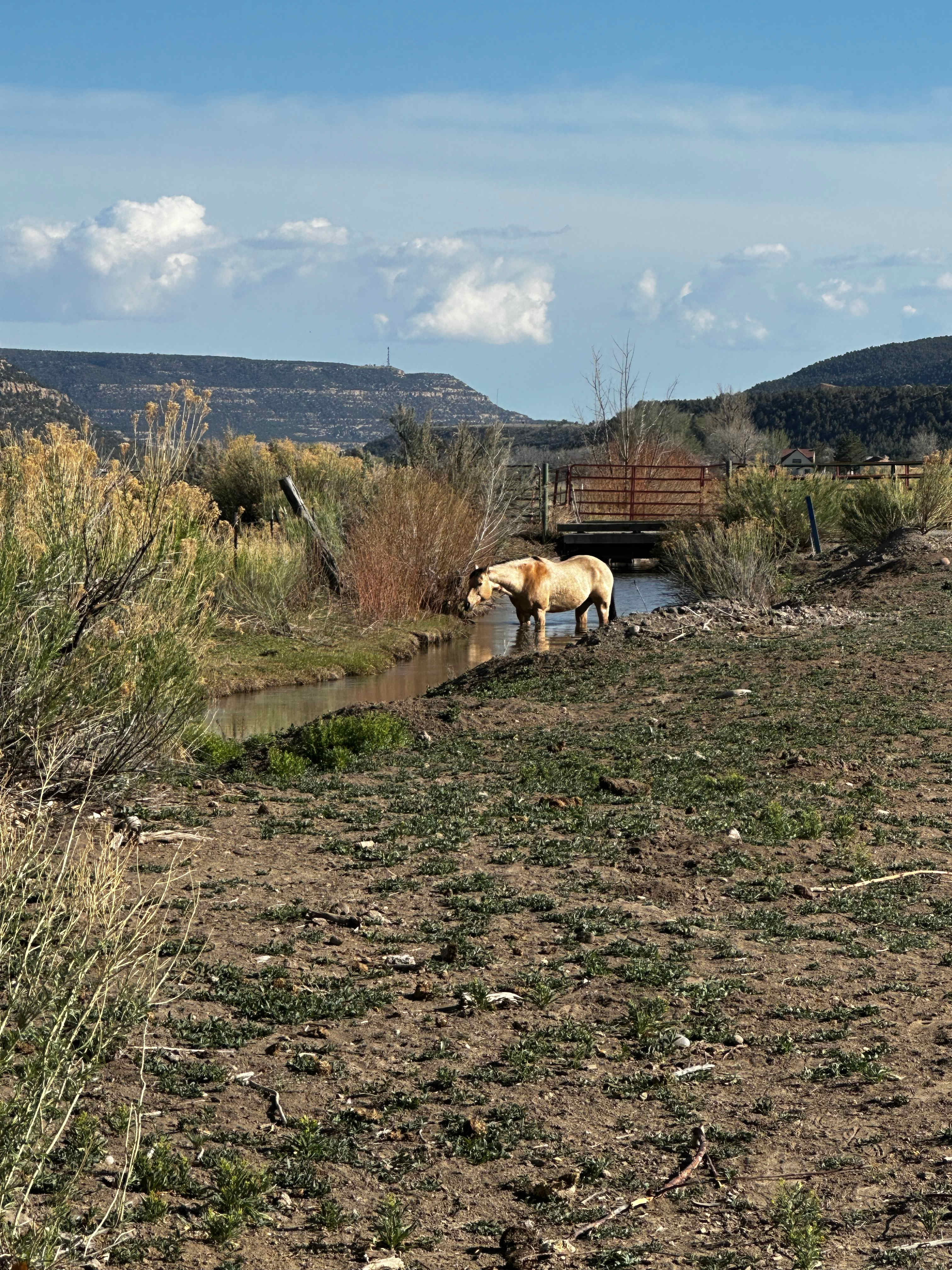 Linda M.’s Santa Rita Ranch